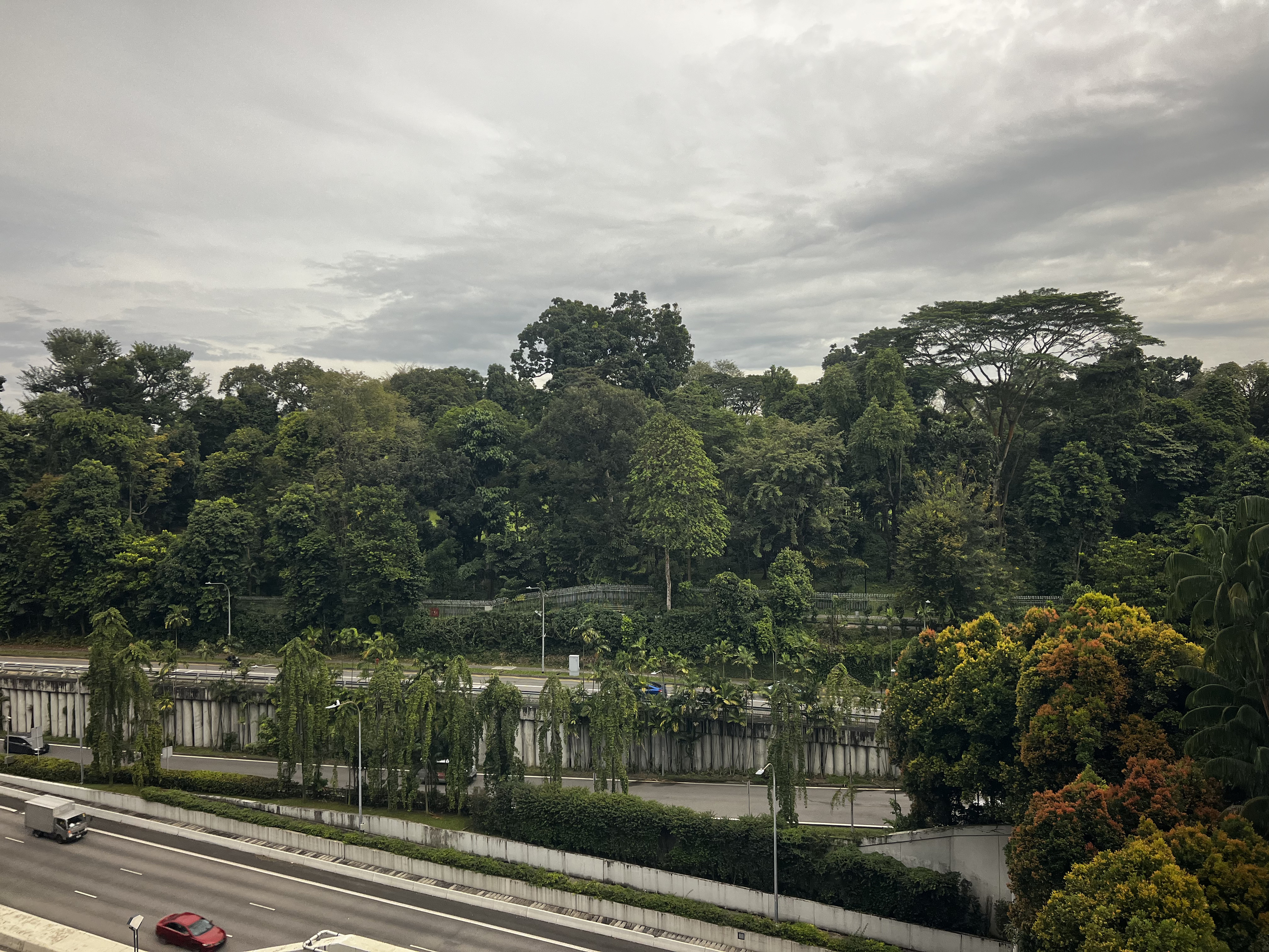 Photo Singapour 2023-01 64