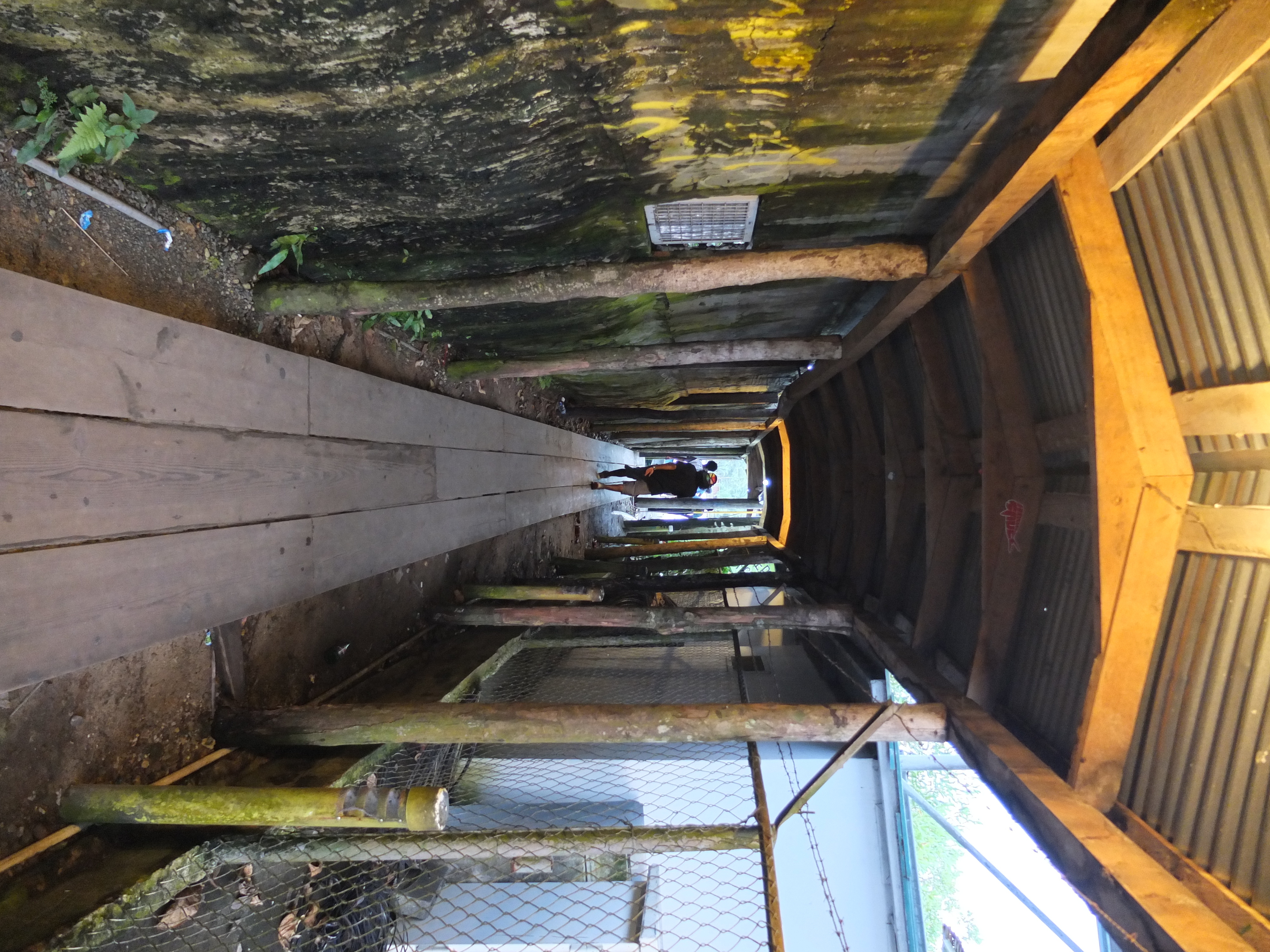Photo Panama Bocas del toro 2015-03 28