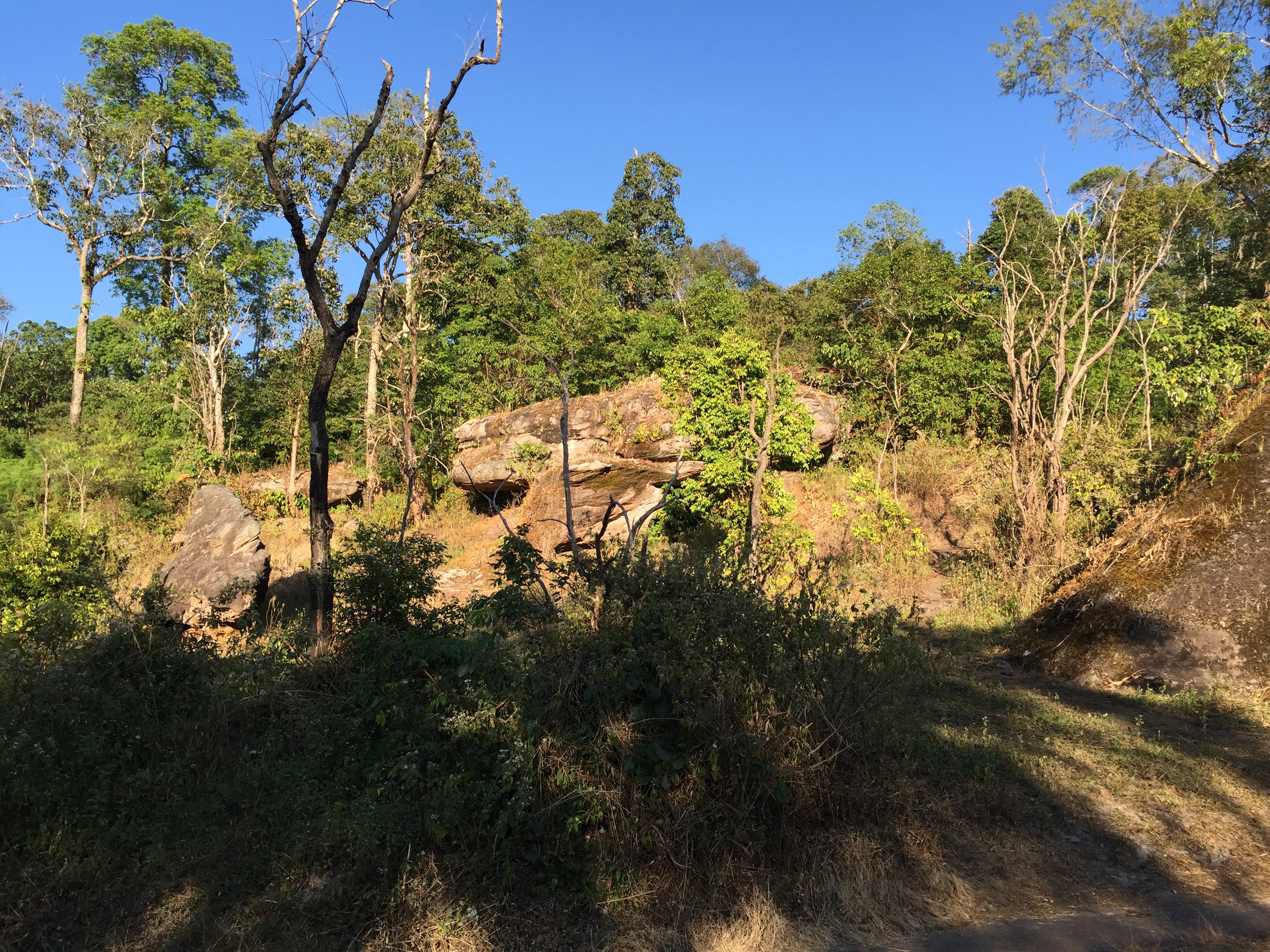 Photo Thaïlande Parc National Phu Hin Rong Kla 2014-12 353