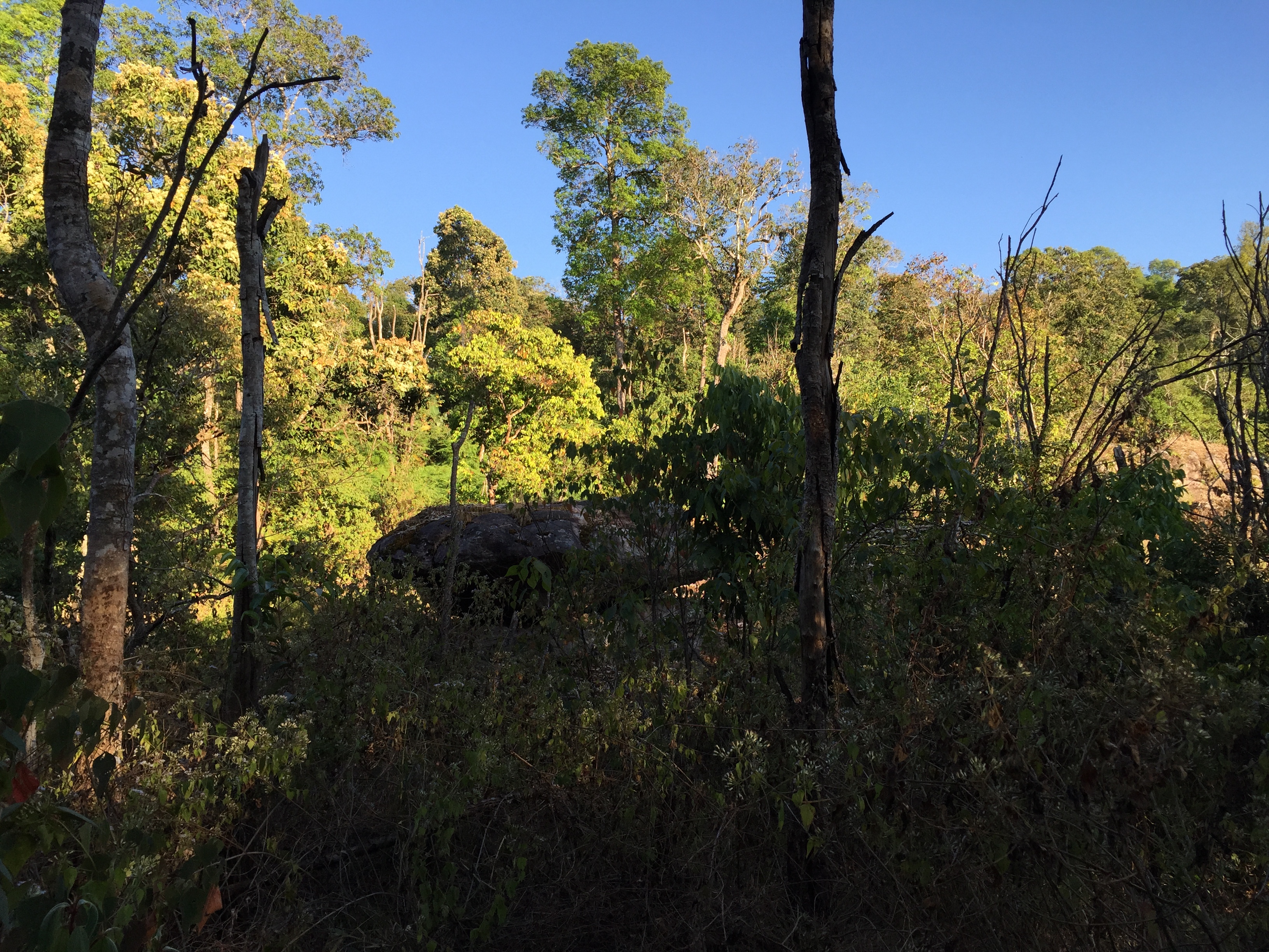 Photo Thaïlande Parc National Phu Hin Rong Kla 2014-12 387