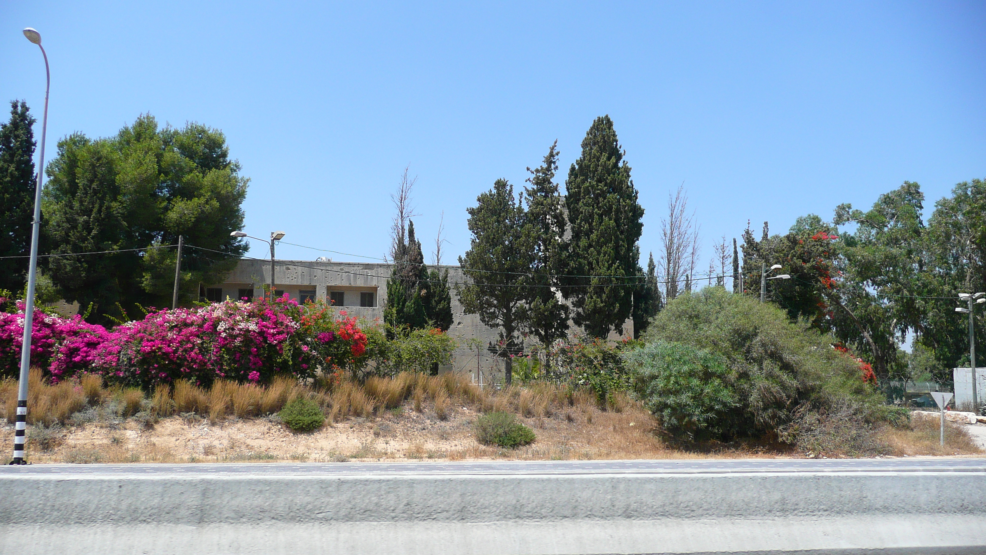 Photo Israel Route de Ashkelon à Arad 2007-06 174