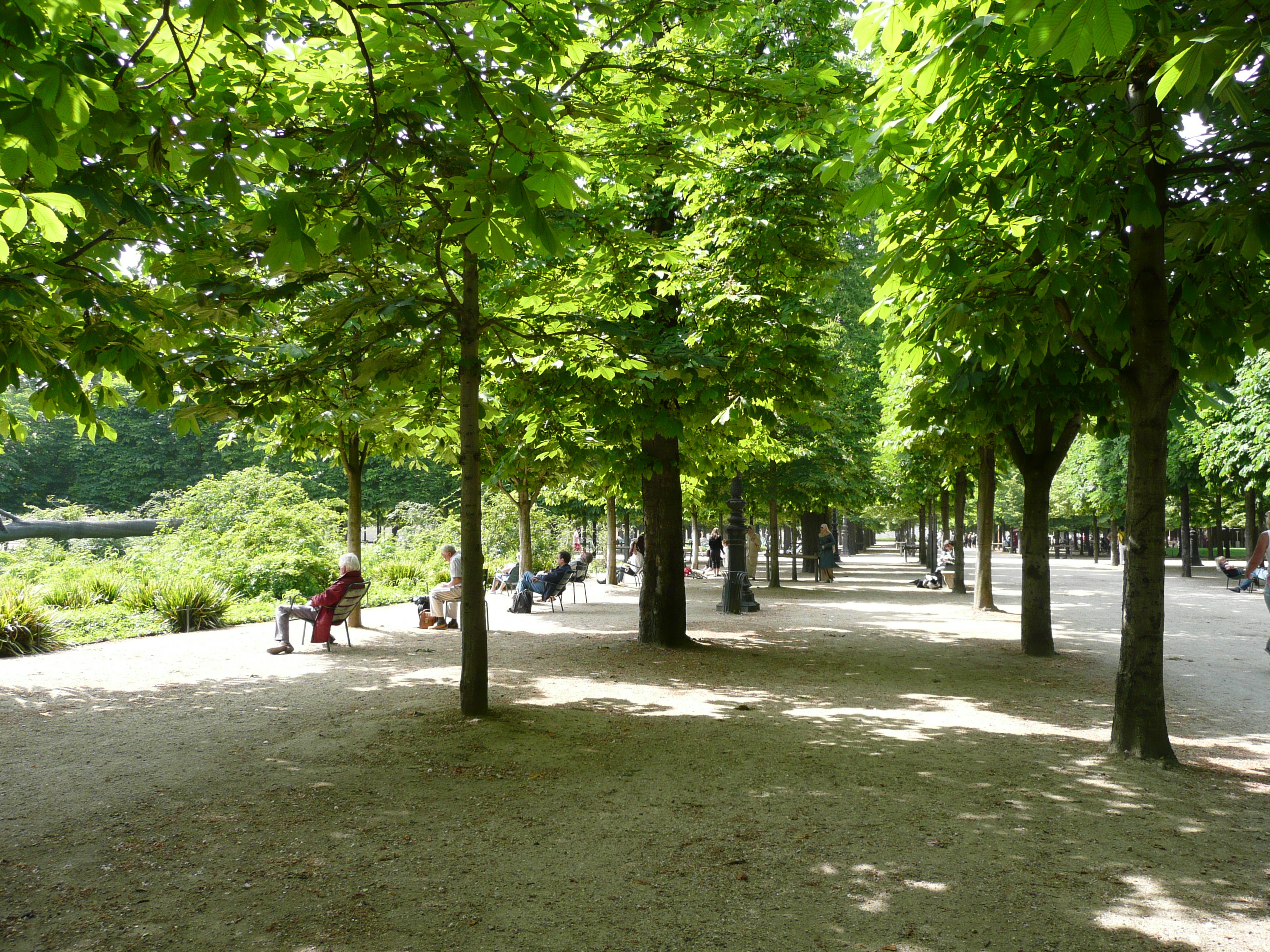 Photo France Paris Jardin des Tuileries 2007-05 213