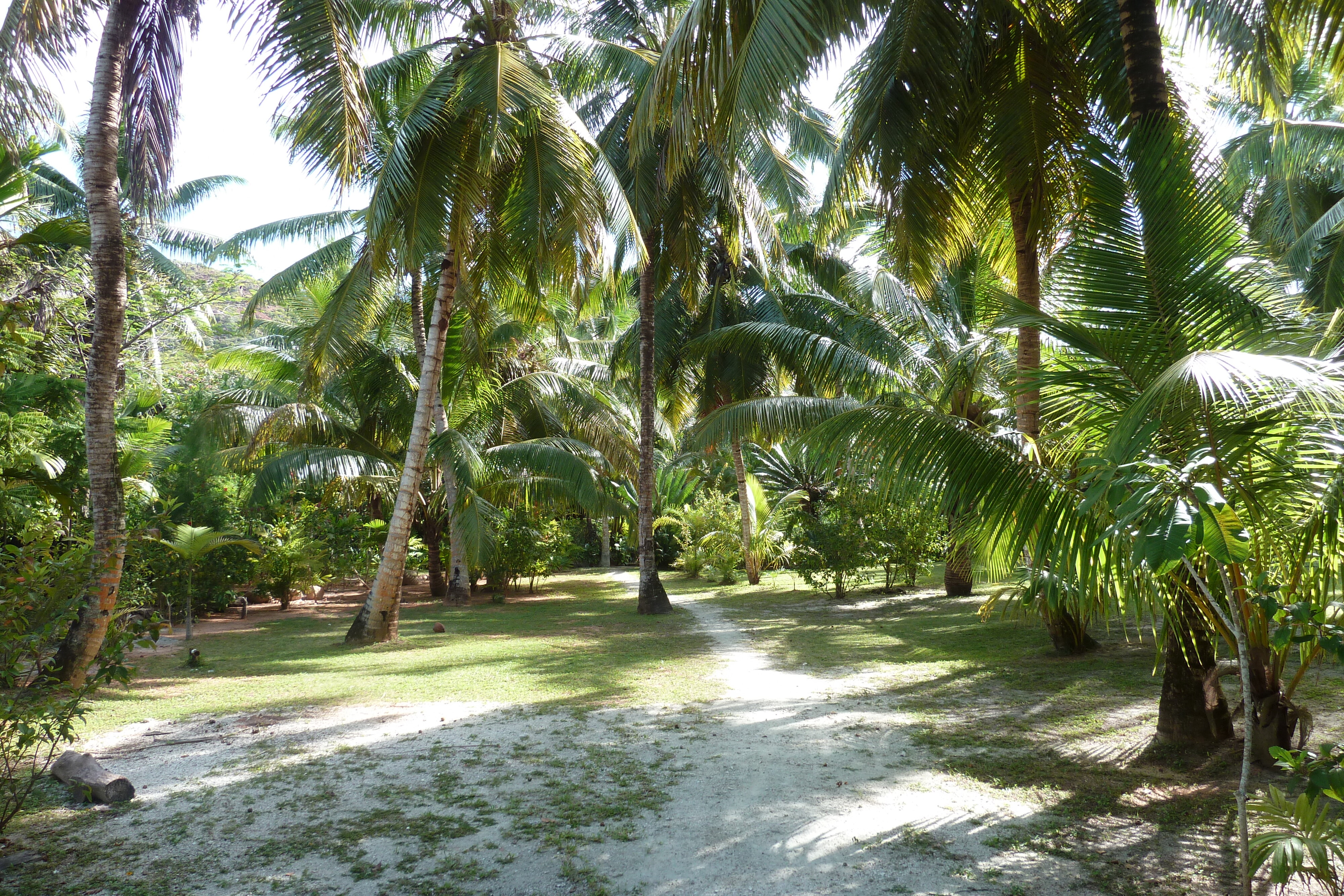 Photo Seychelles Anse Lazio 2011-10 21