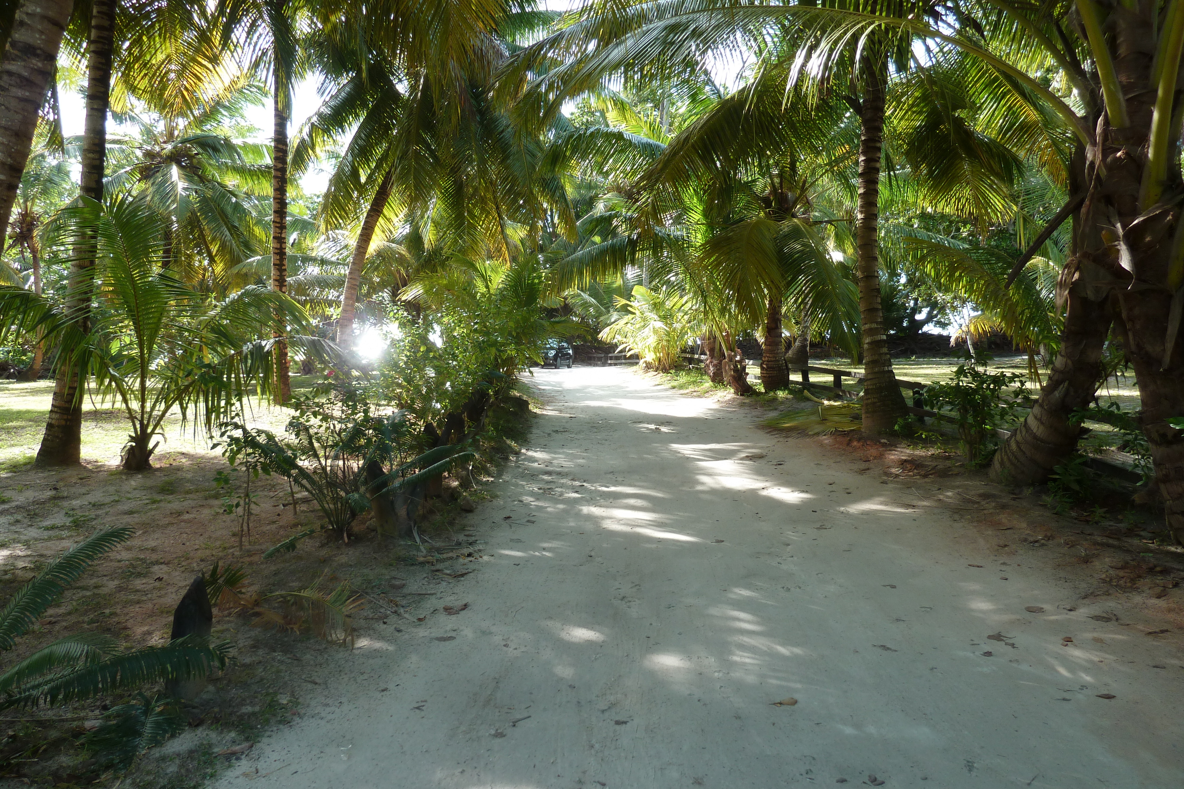 Photo Seychelles Anse Lazio 2011-10 148