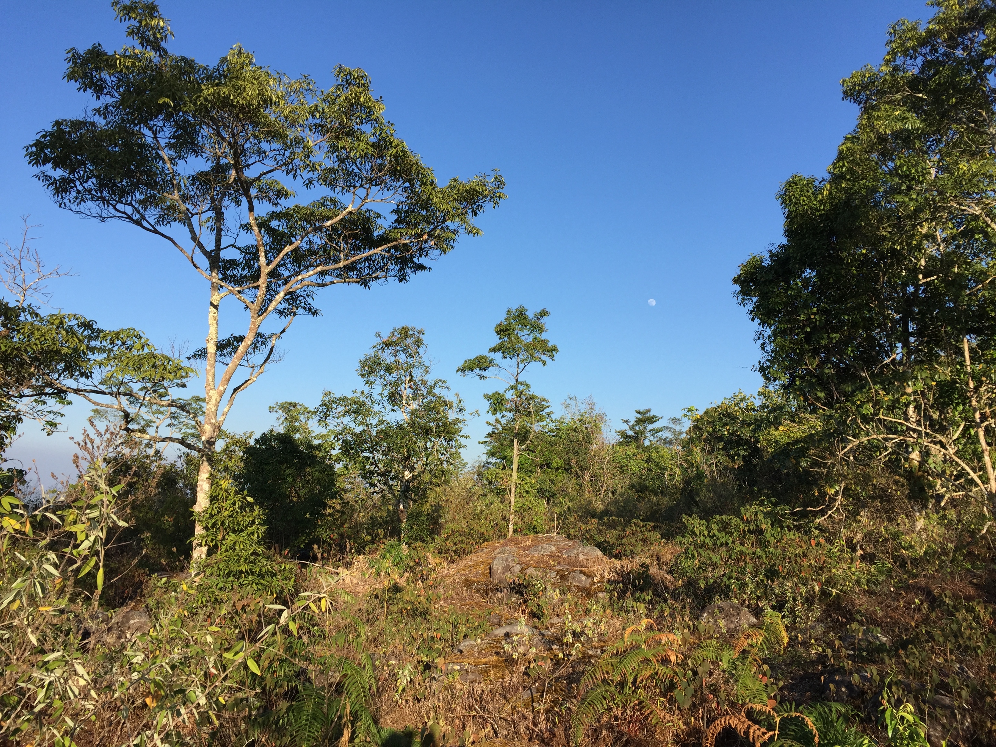 Photo Thaïlande Parc National Phu Hin Rong Kla 2014-12 315