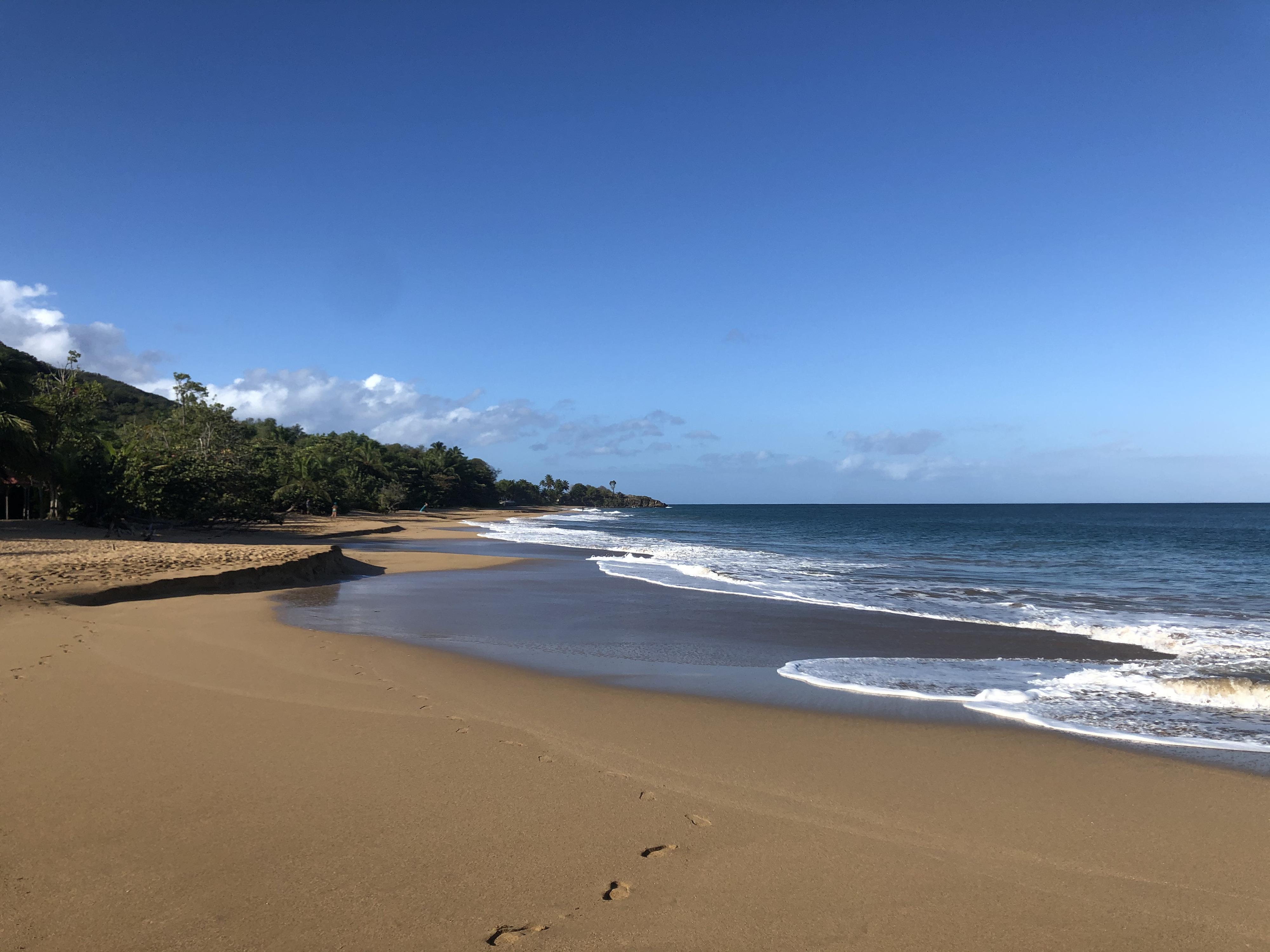 Photo Guadeloupe Plage de la Perle 2021-02 52