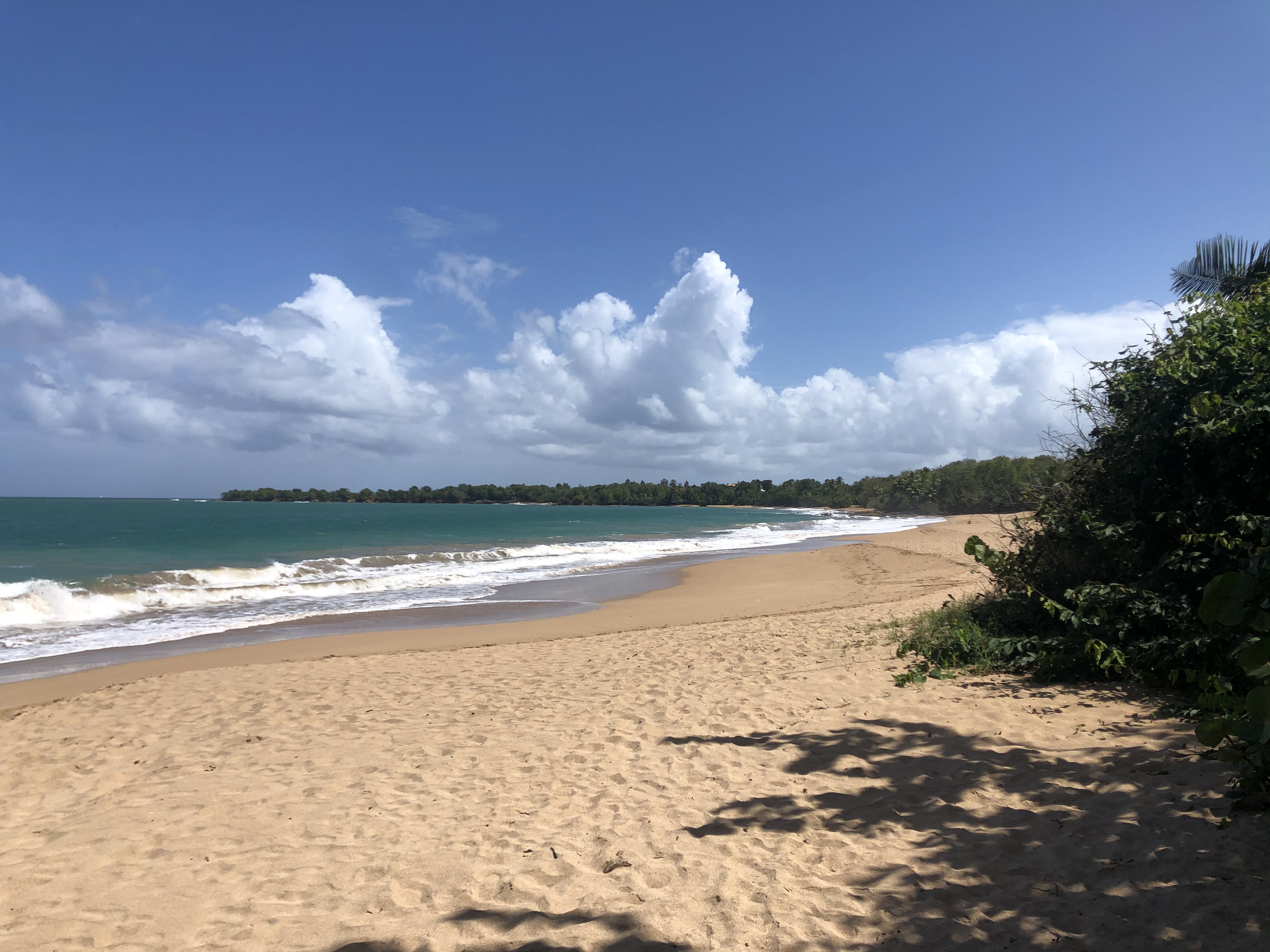 Photo Guadeloupe Plage de la Perle 2021-02 72