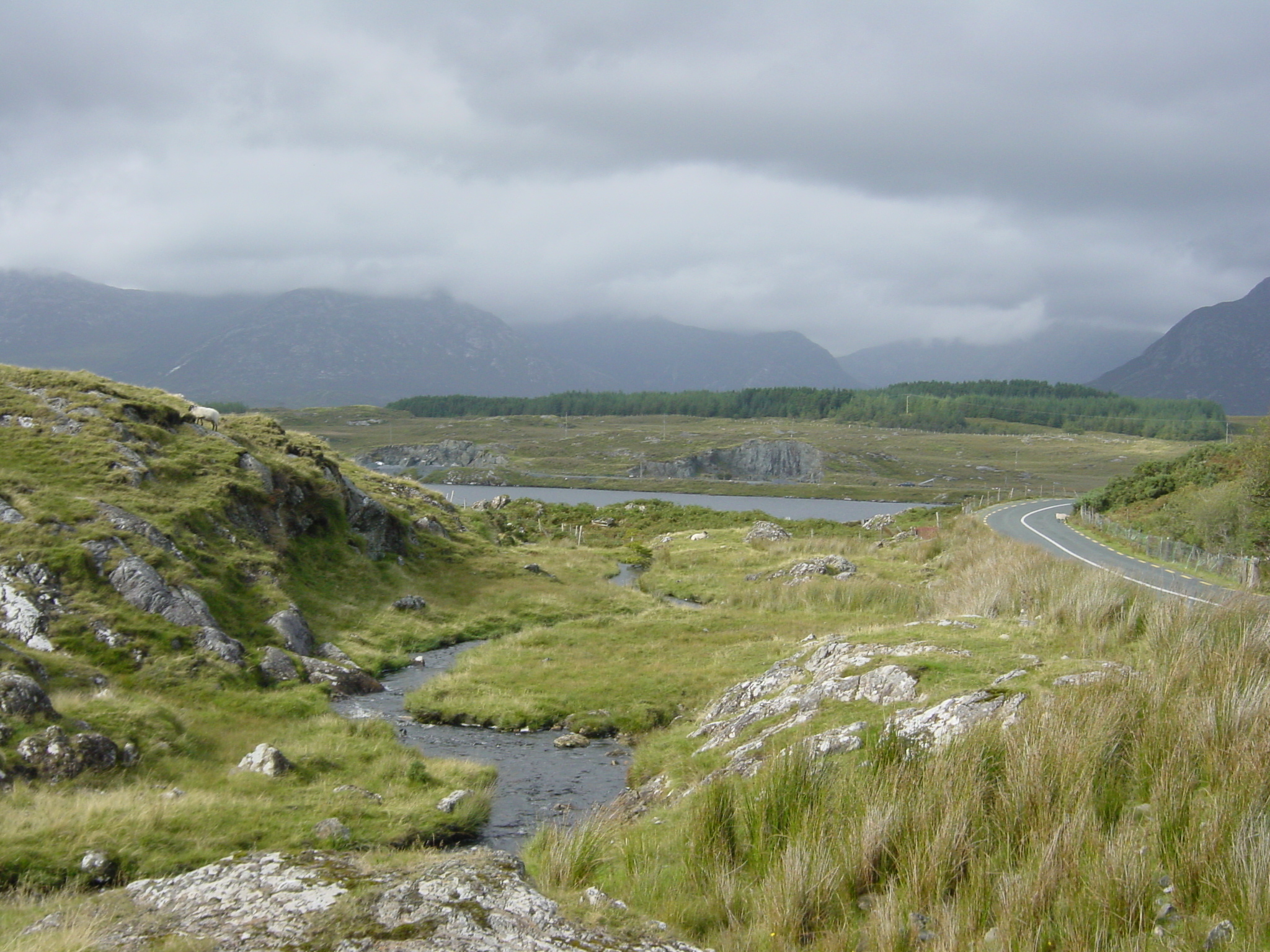 Photo Irlande Connemara 2003-09 60