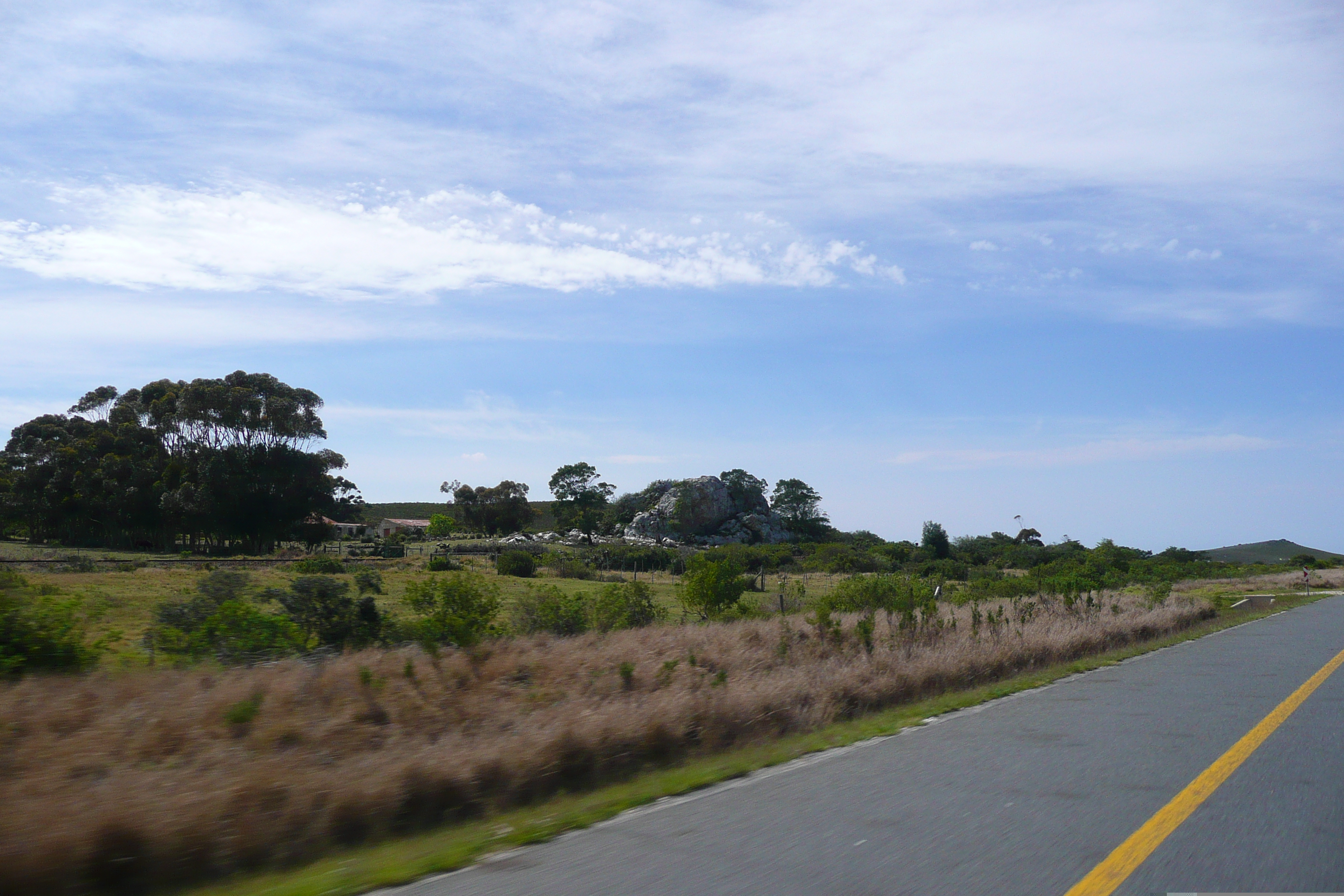 Photo Afrique du Sud Route de Harmanus à Knysna 2008-09 111