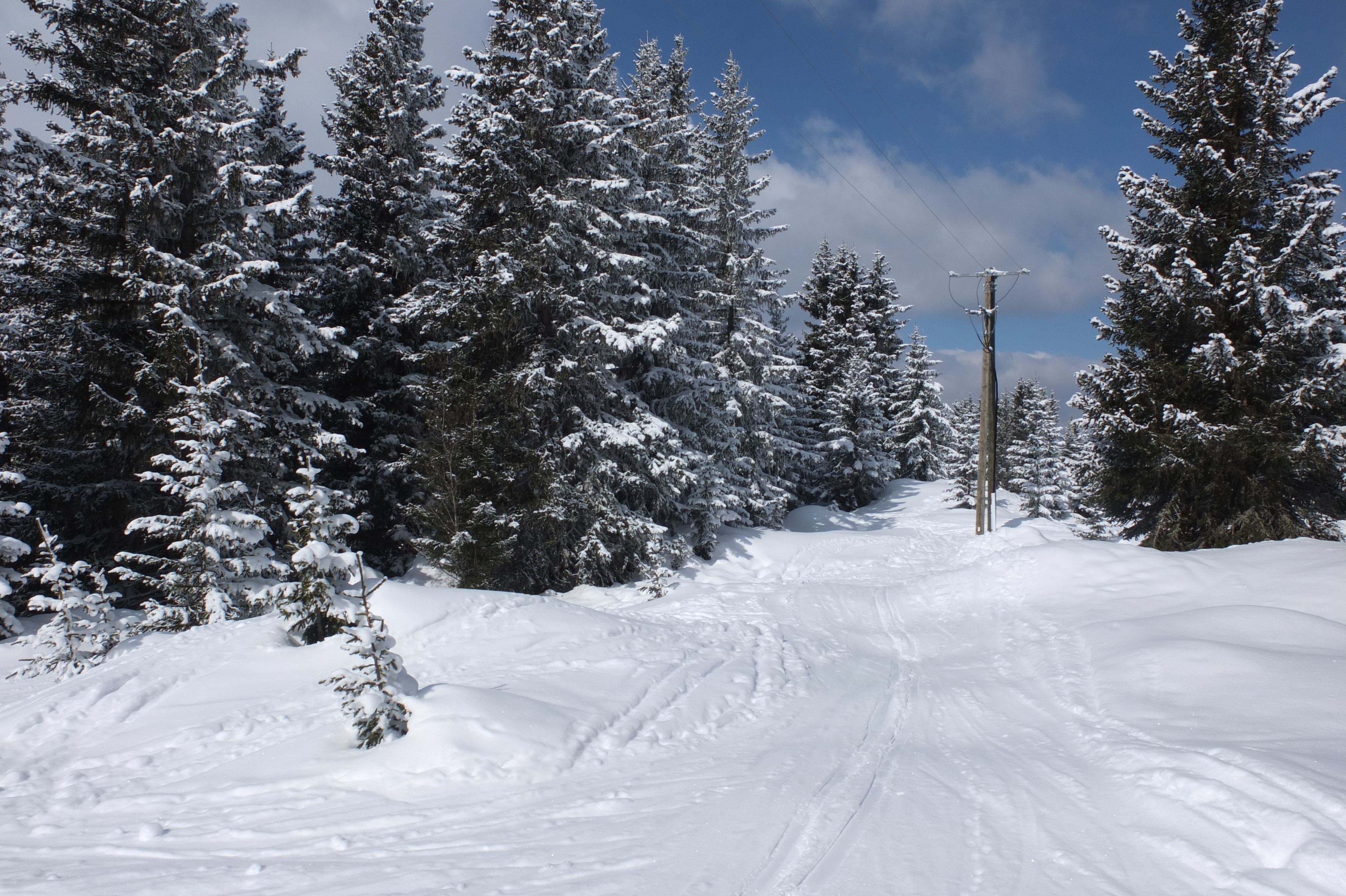 Photo France Les 3 Vallées 2013-03 154