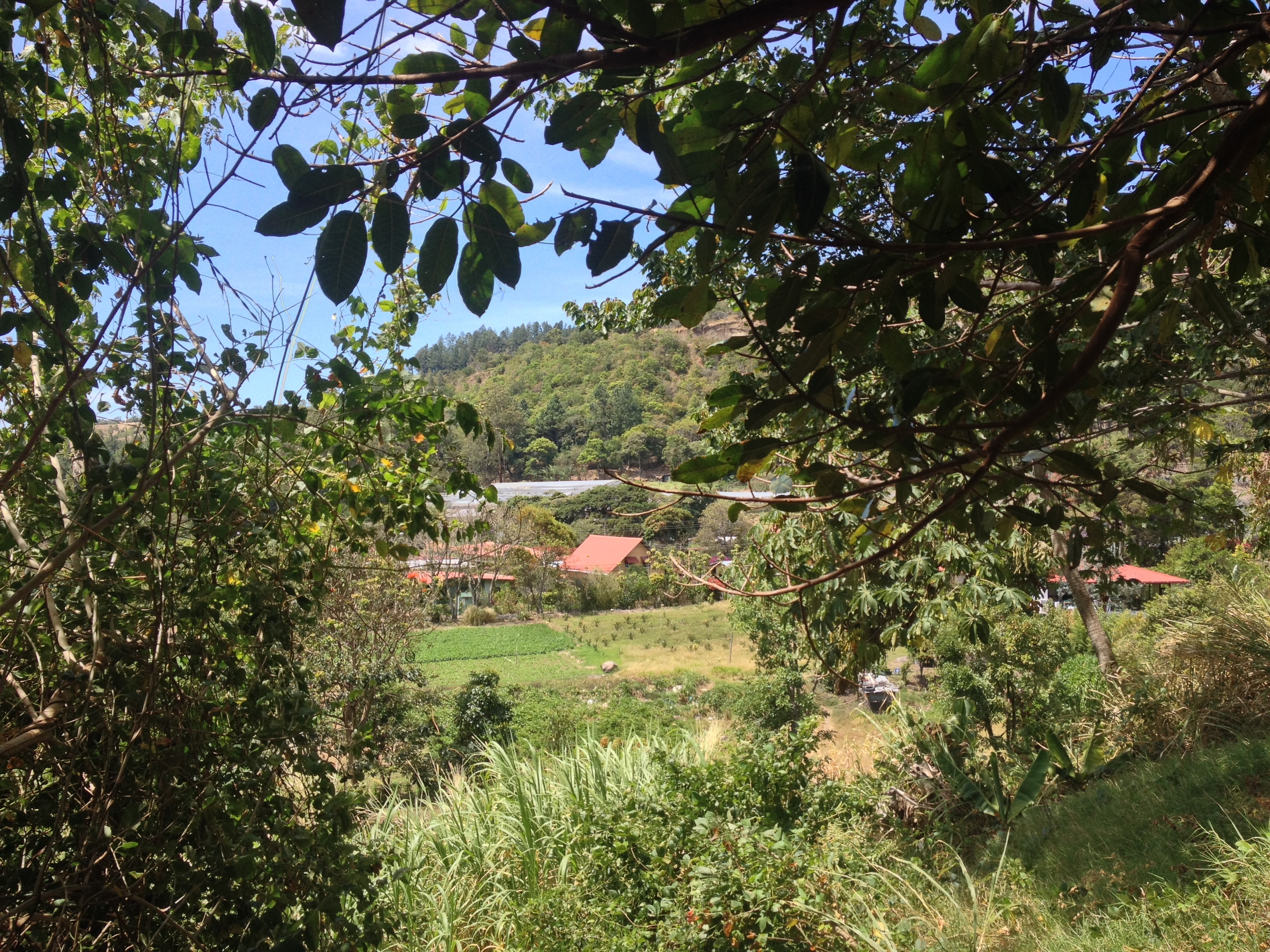 Photo Panama Boquete 2015-03 55