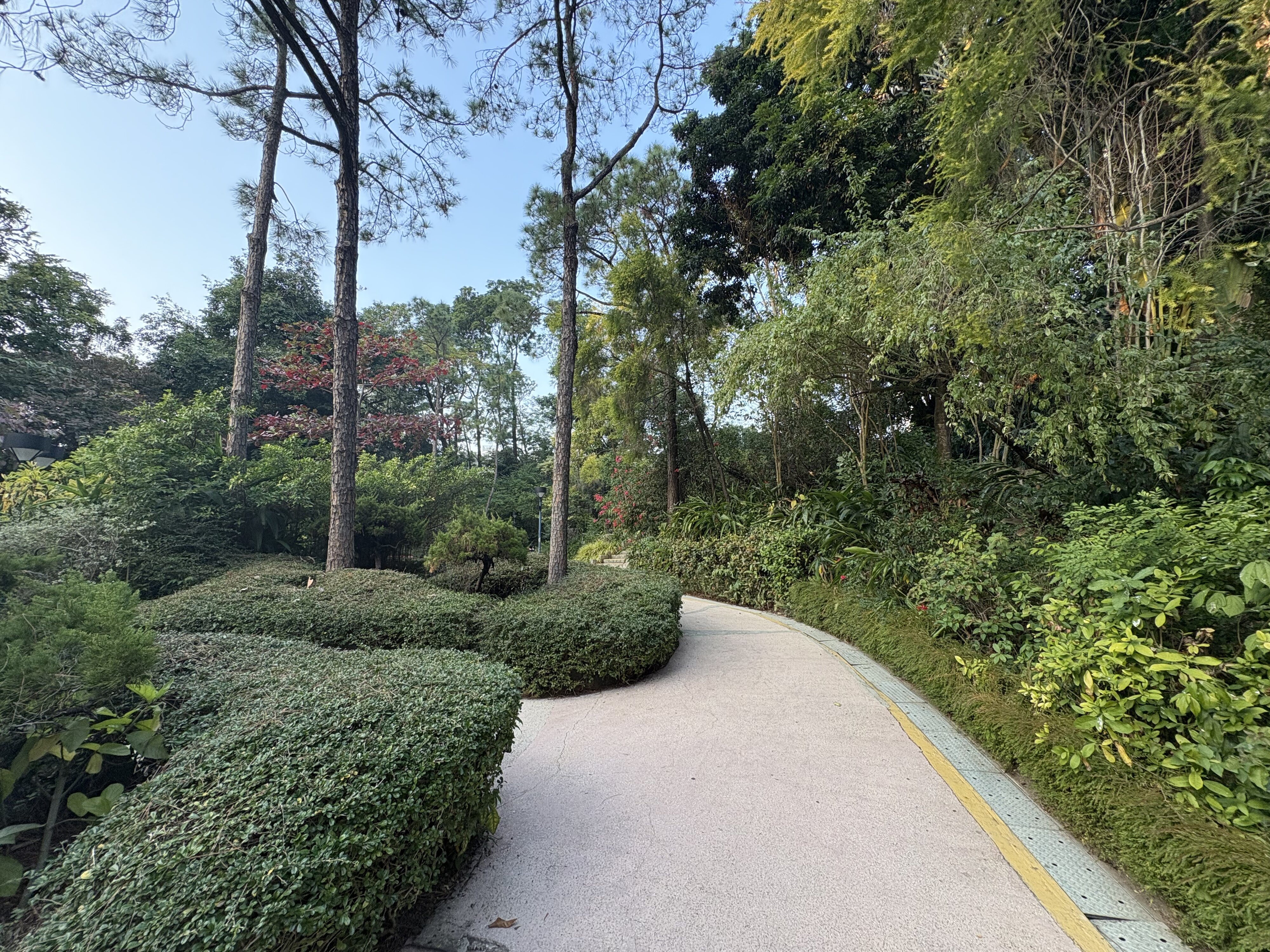 Photo Hong Kong Tsim Sha Tsui 2026-01 102