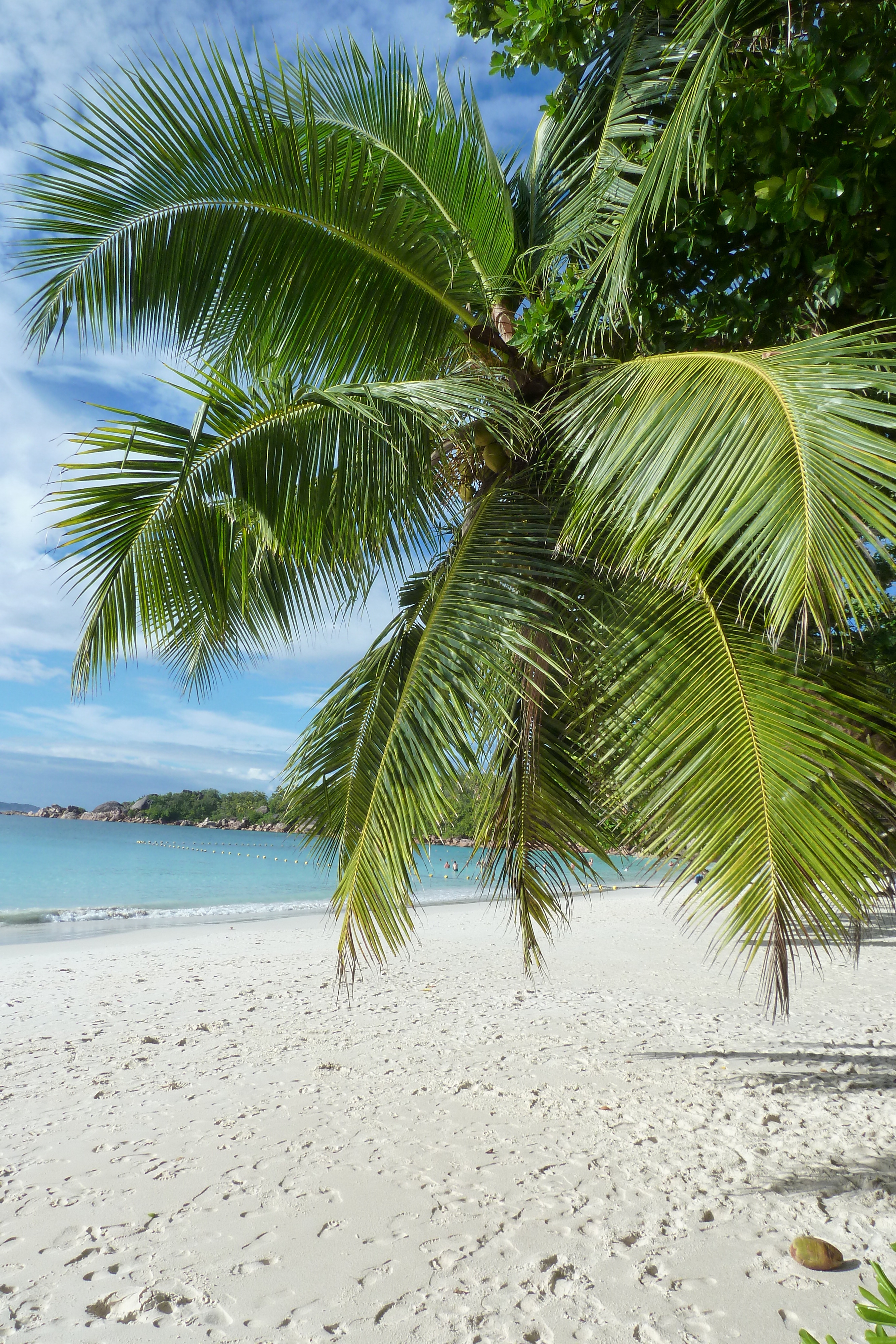 Photo Seychelles Anse Lazio 2011-10 130