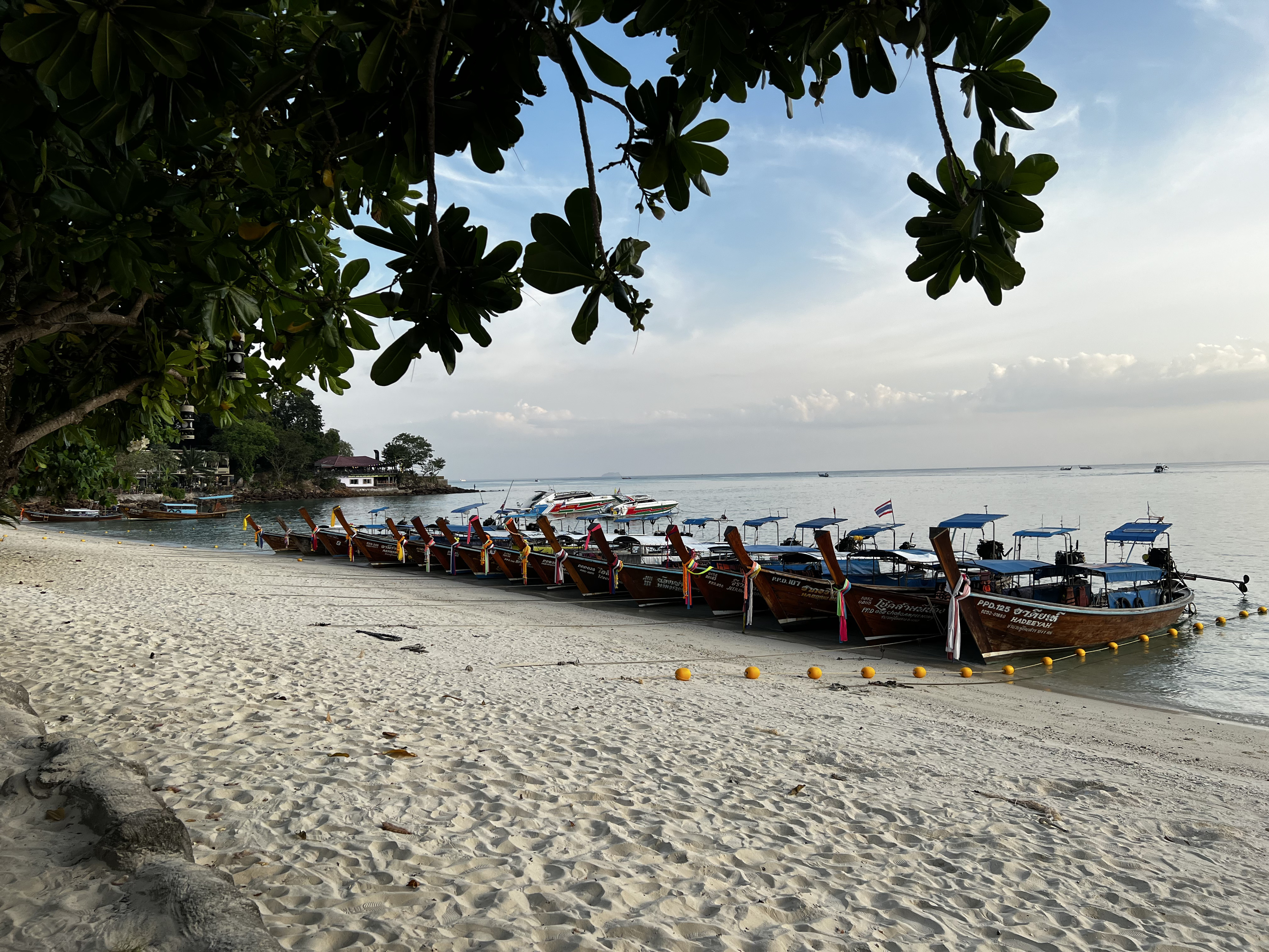 Photo Thaïlande Ko Phi Phi Don 2021-12 139