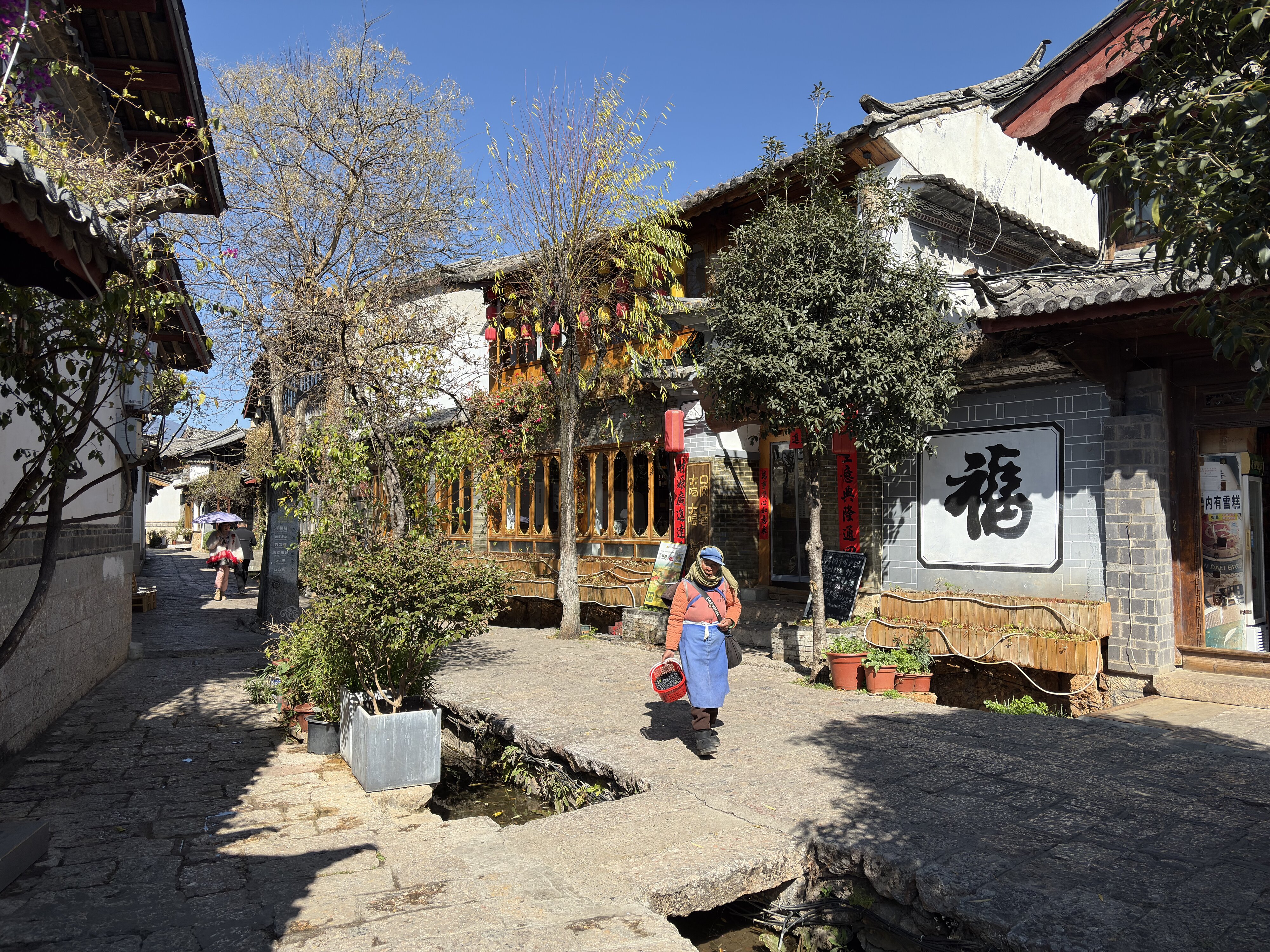 Photo Chine Lijiang 2026-01 32