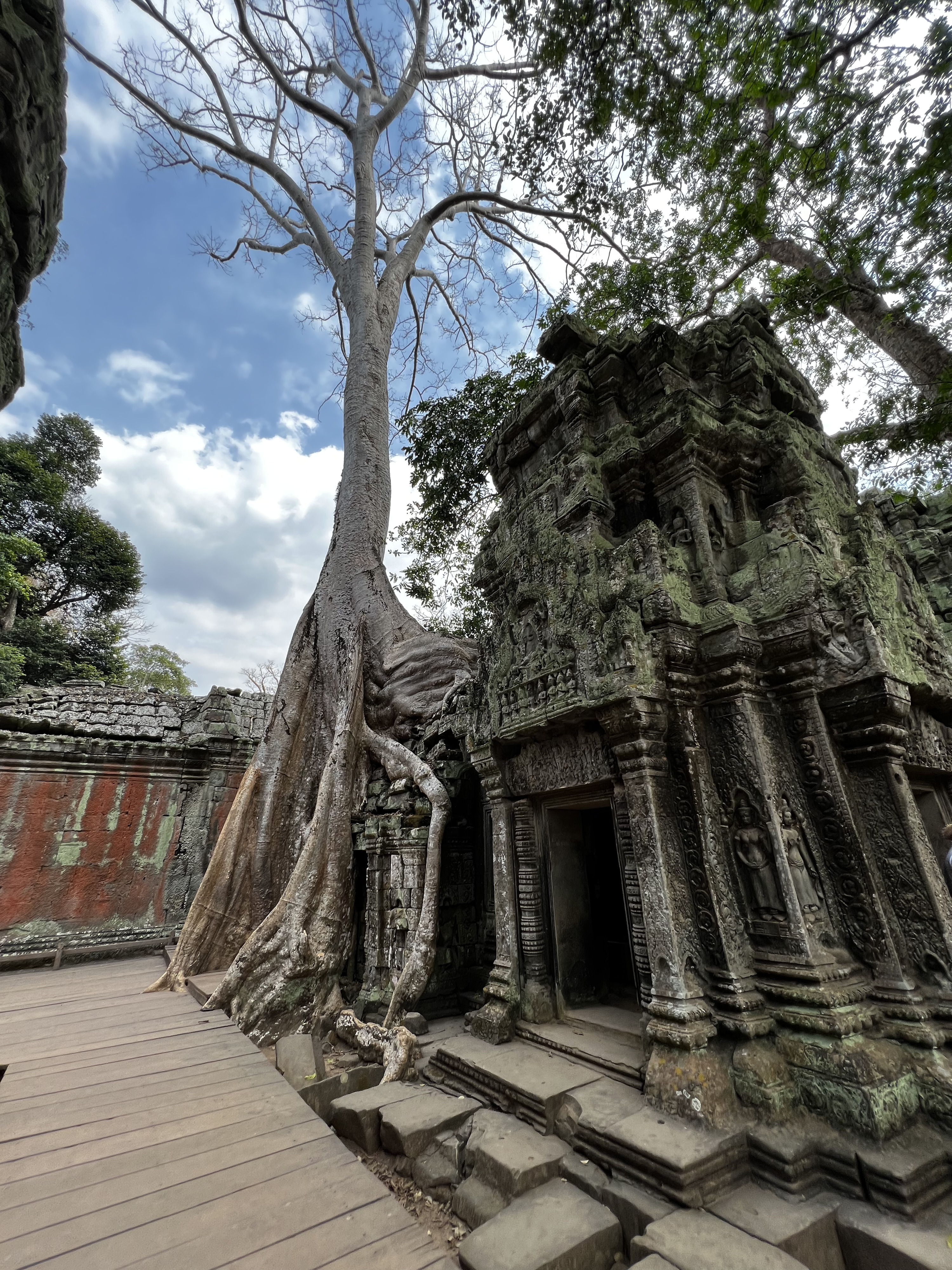 Photo Cambodge Siem Reap Ta Prohm 2023-01 128