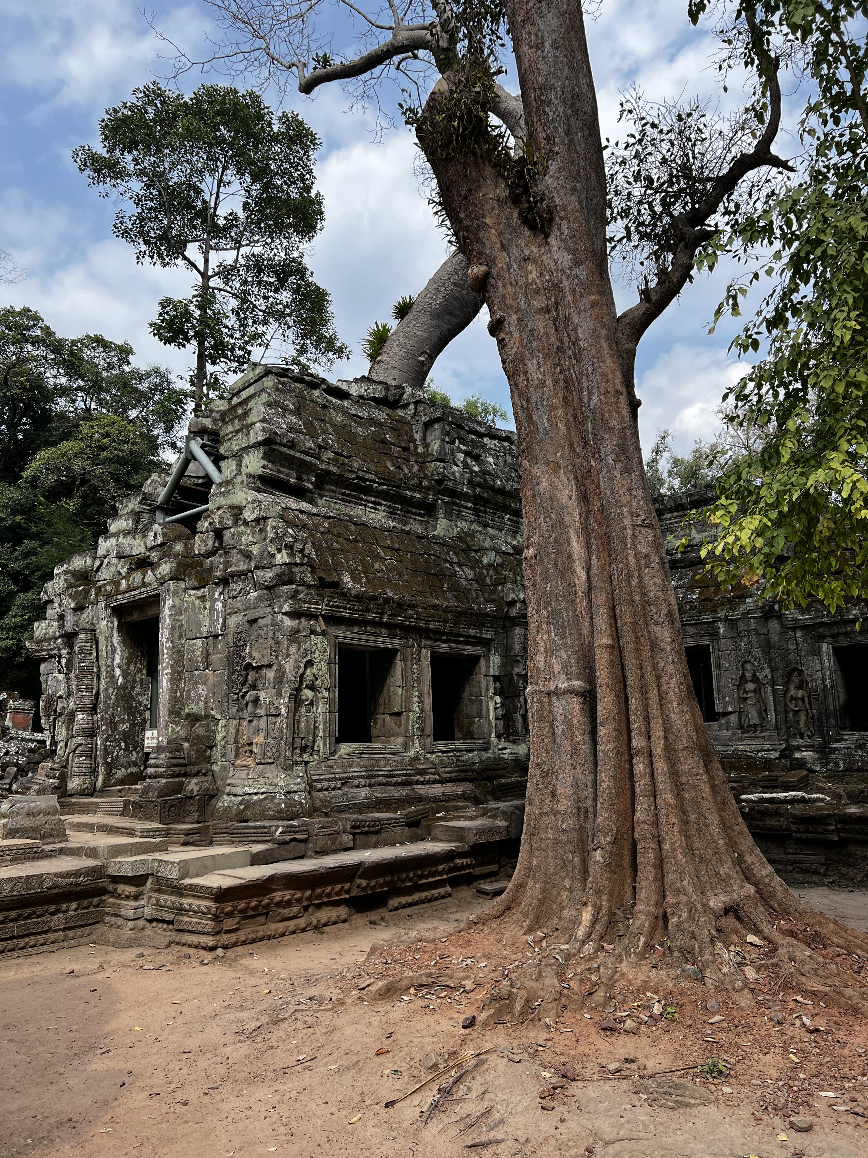 Photo Cambodge Siem Reap Ta Prohm 2023-01 134