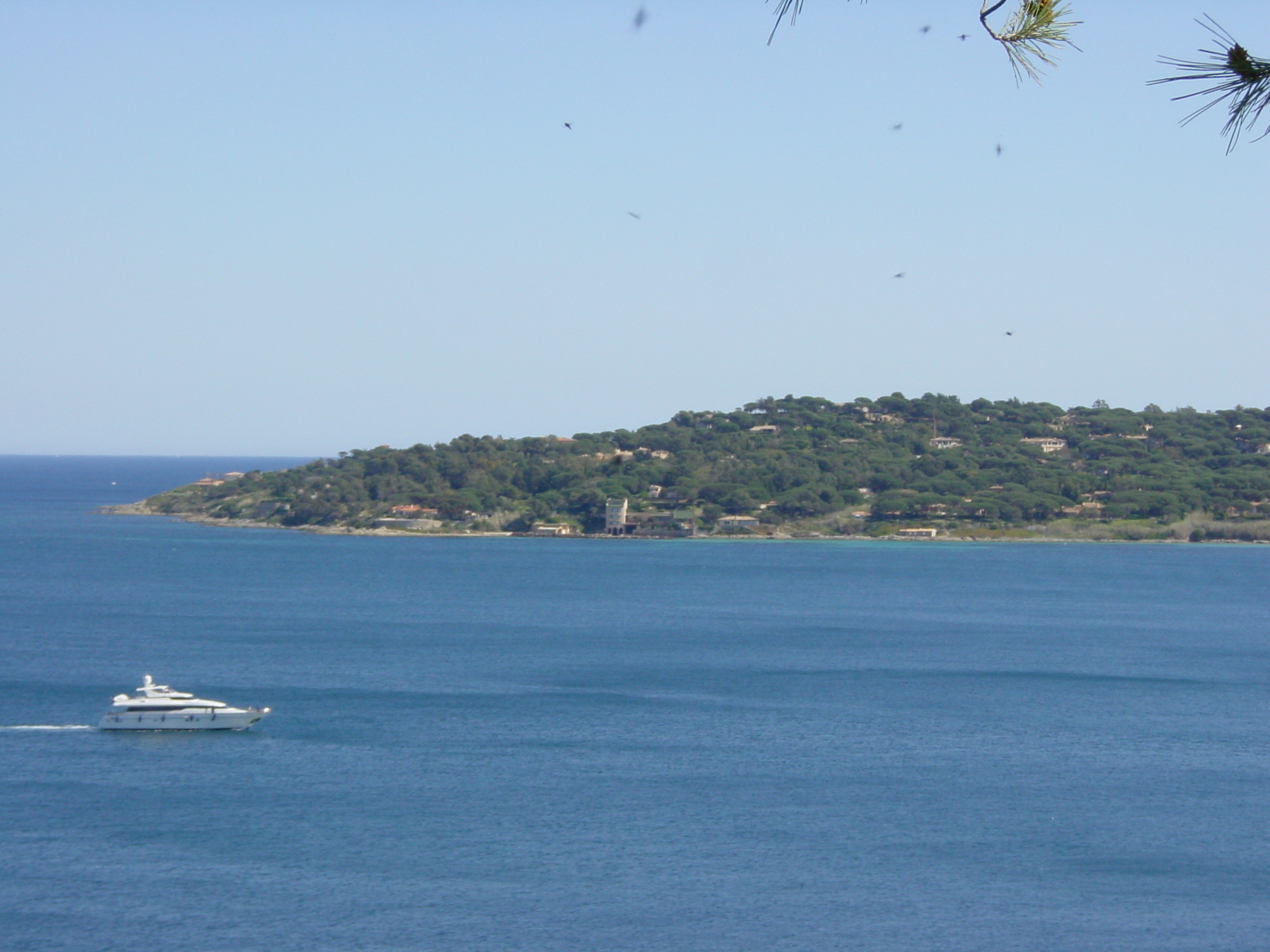 Photo France Saint Tropez 2002-03 68