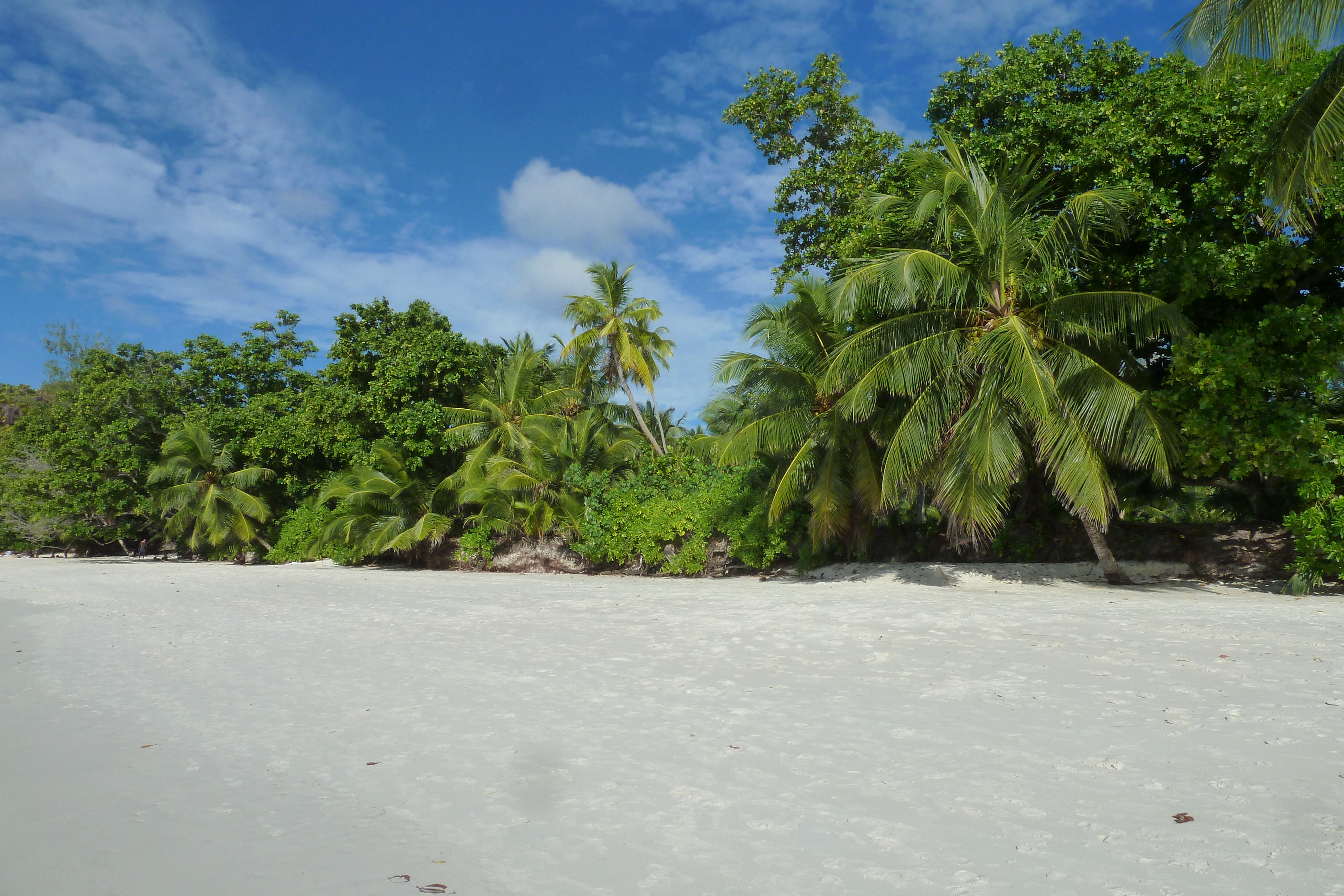 Photo Seychelles Anse Lazio 2011-10 55