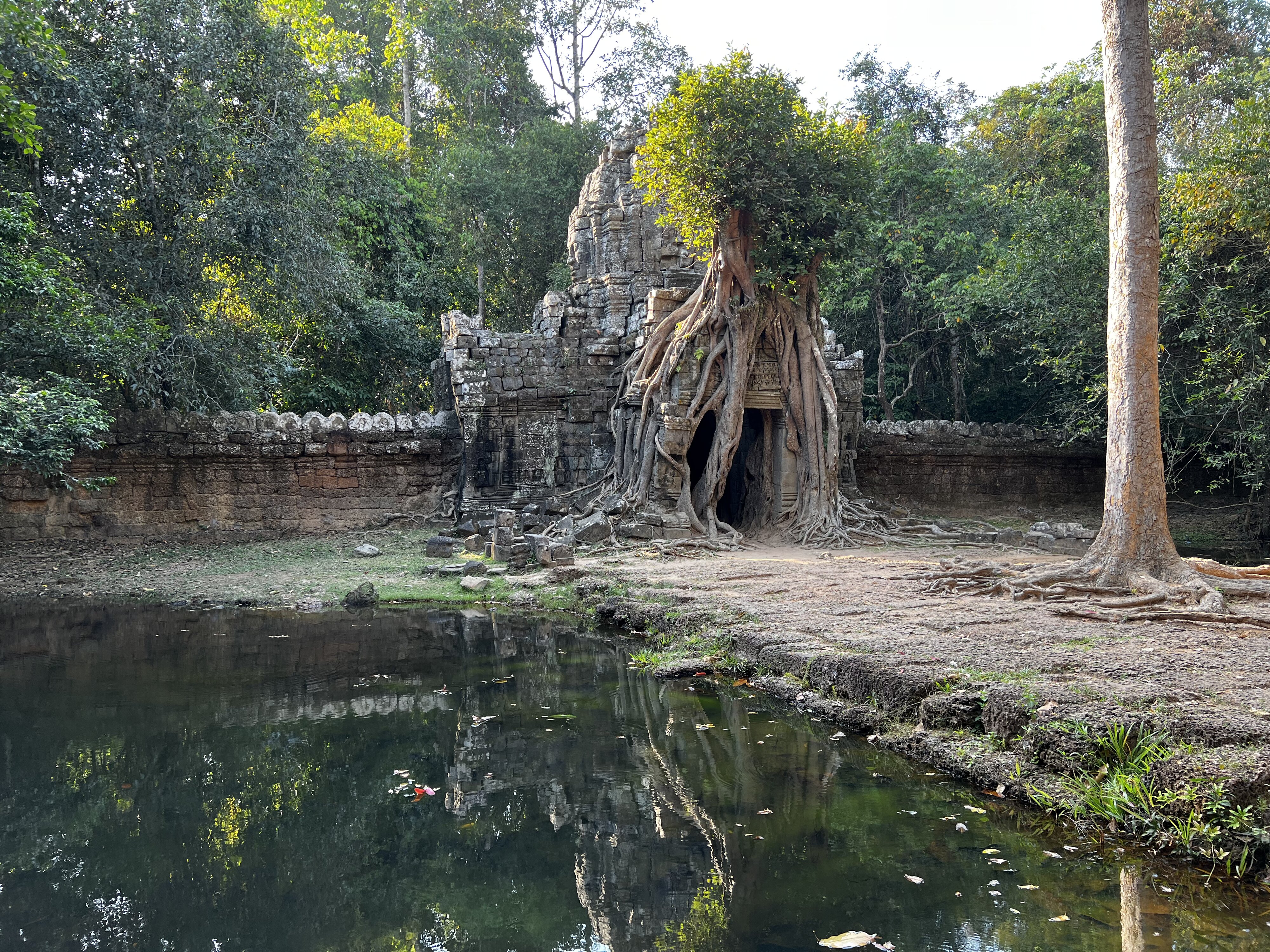 Photo Cambodge Siem Reap Ta Som 2023-01 46