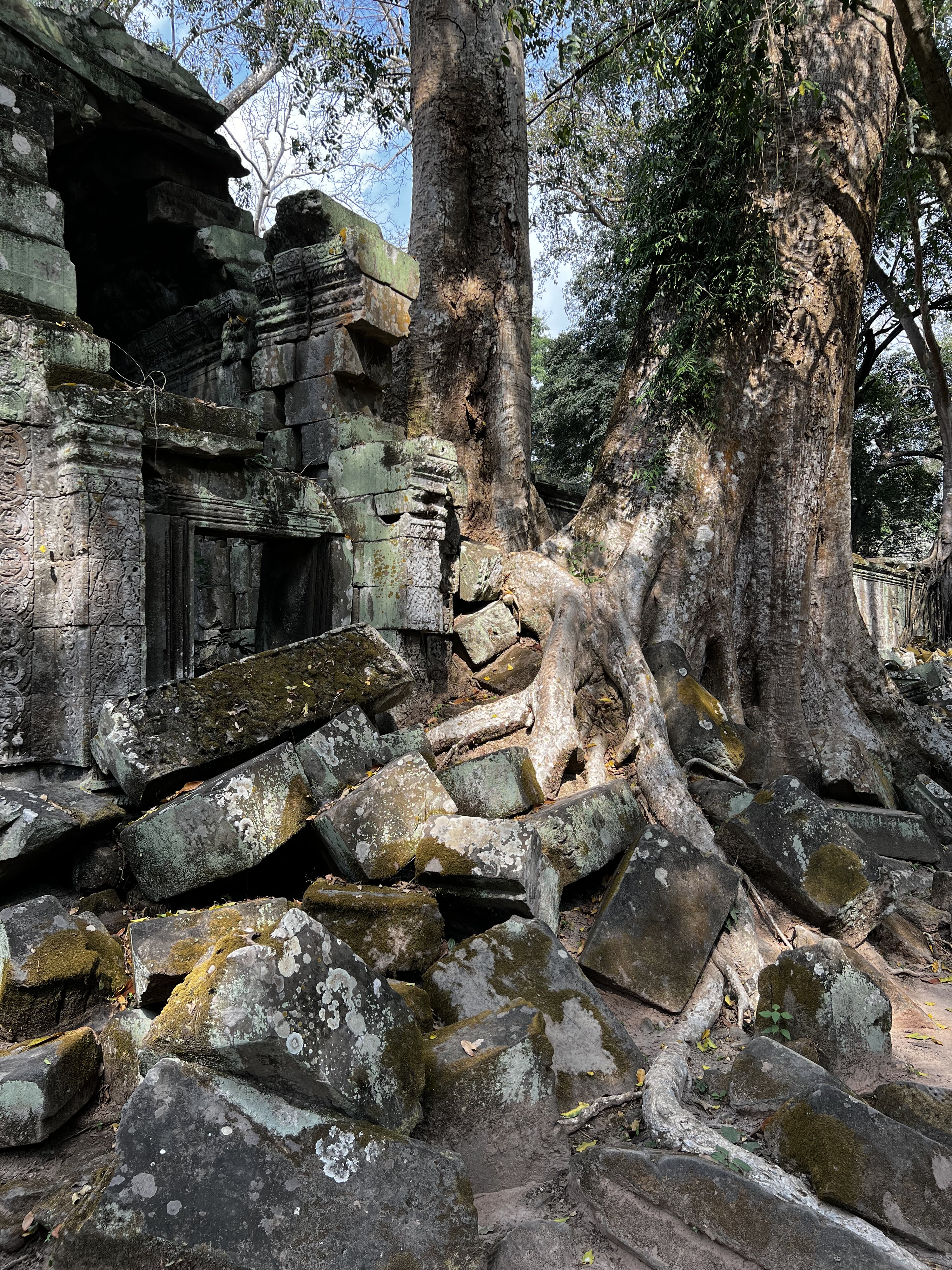 Photo Cambodge Siem Reap Ta Prohm 2023-01 98