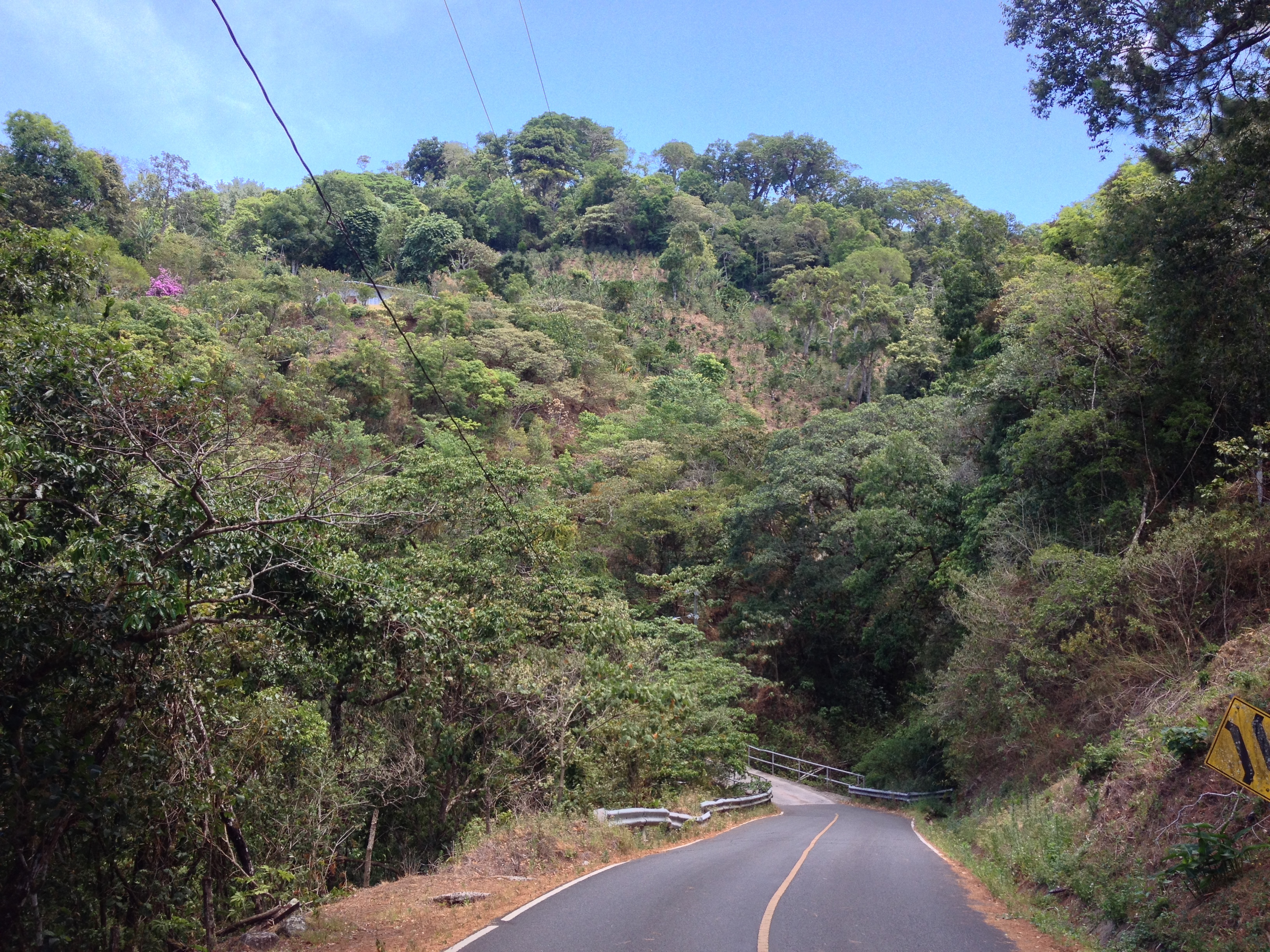 Photo Panama Boquete 2015-03 52