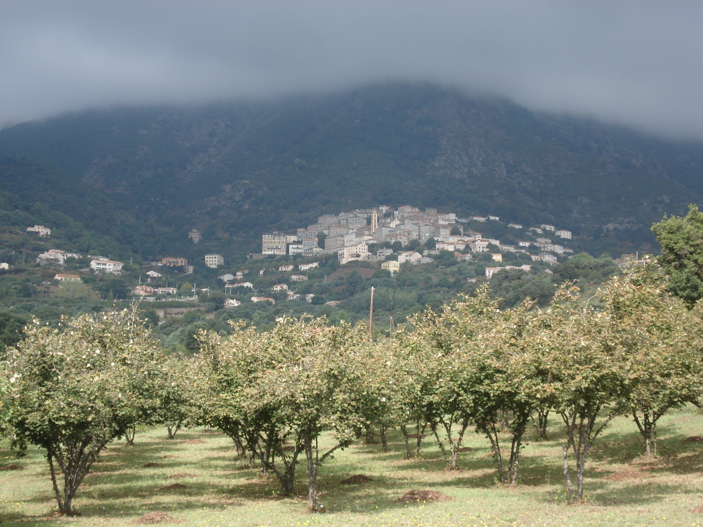 Photo France Corse Cervione 2006-09 53