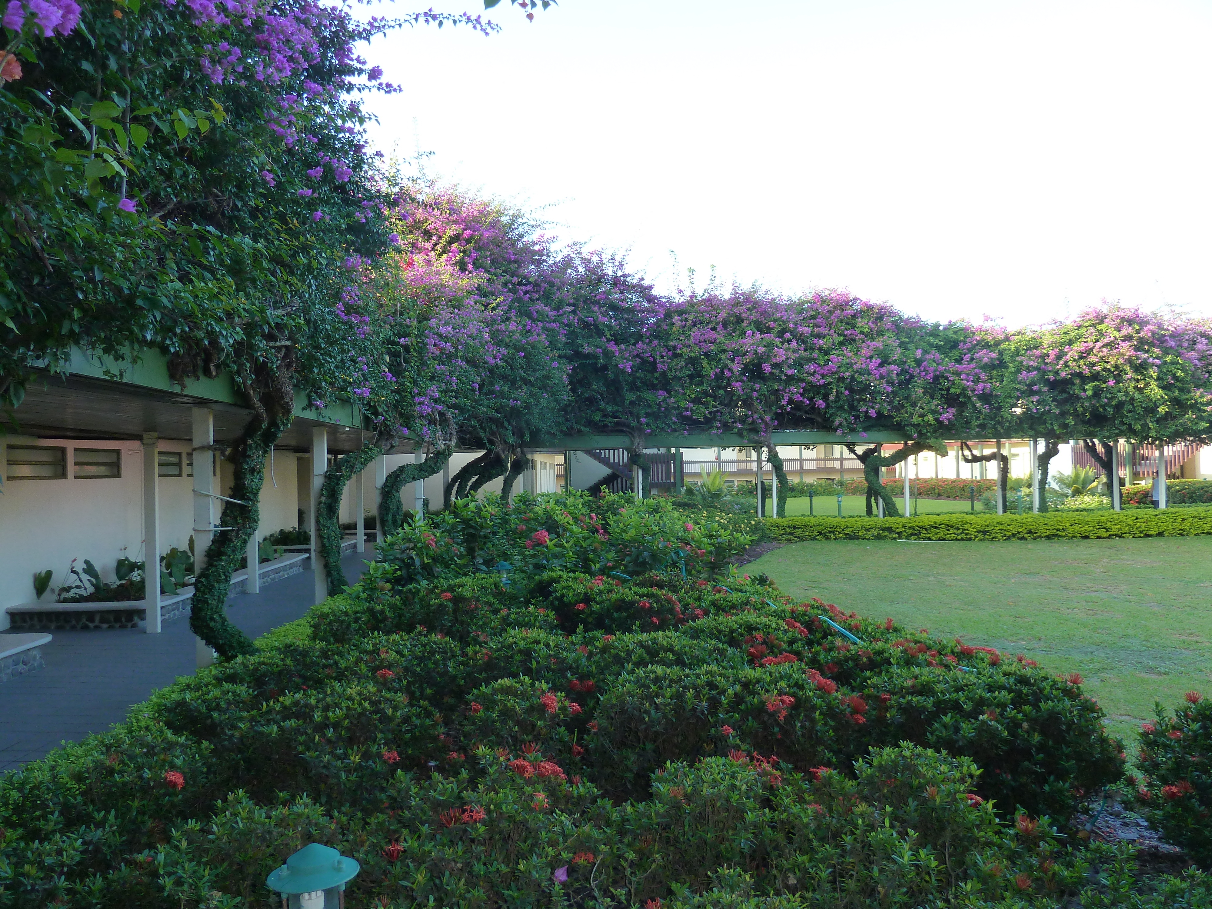 Photo Îles Fidji Hotel Raffles Nadi 2010-05 8