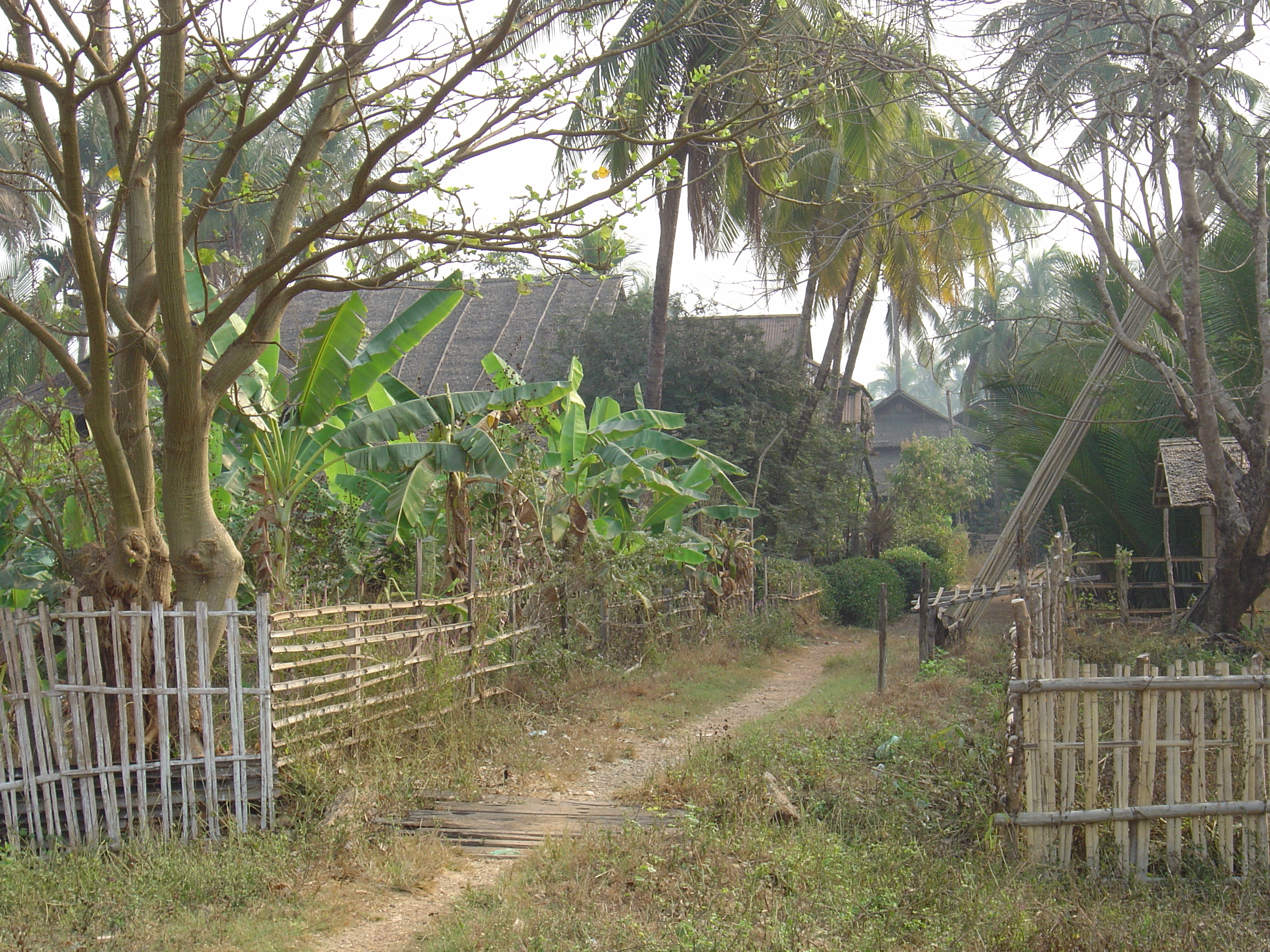Photo Birmanie (Myanmar) Dawei (TAVOY) 2005-01 99
