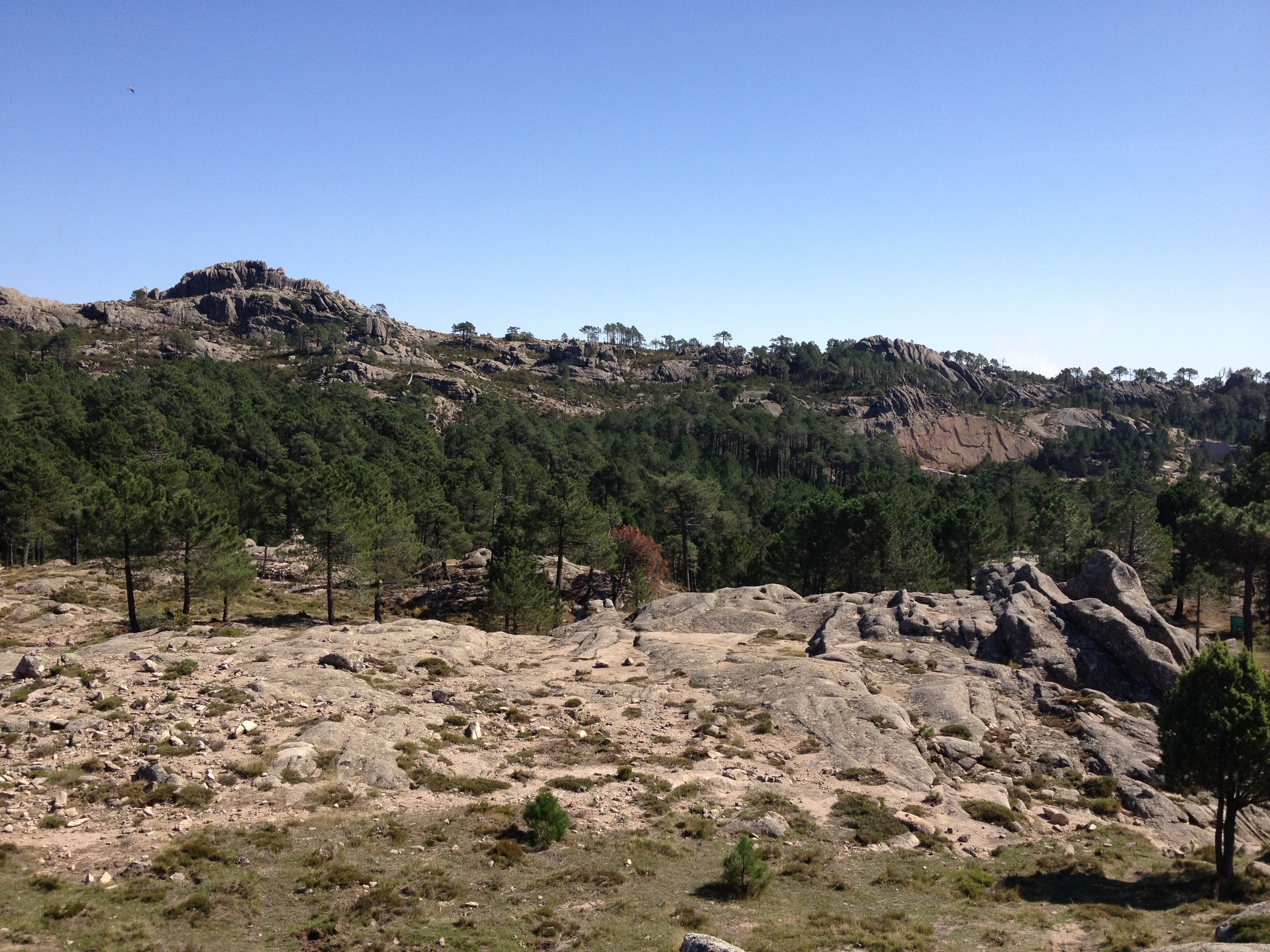 Photo France Corse Forêt de l'Ospedale 2012-09 70