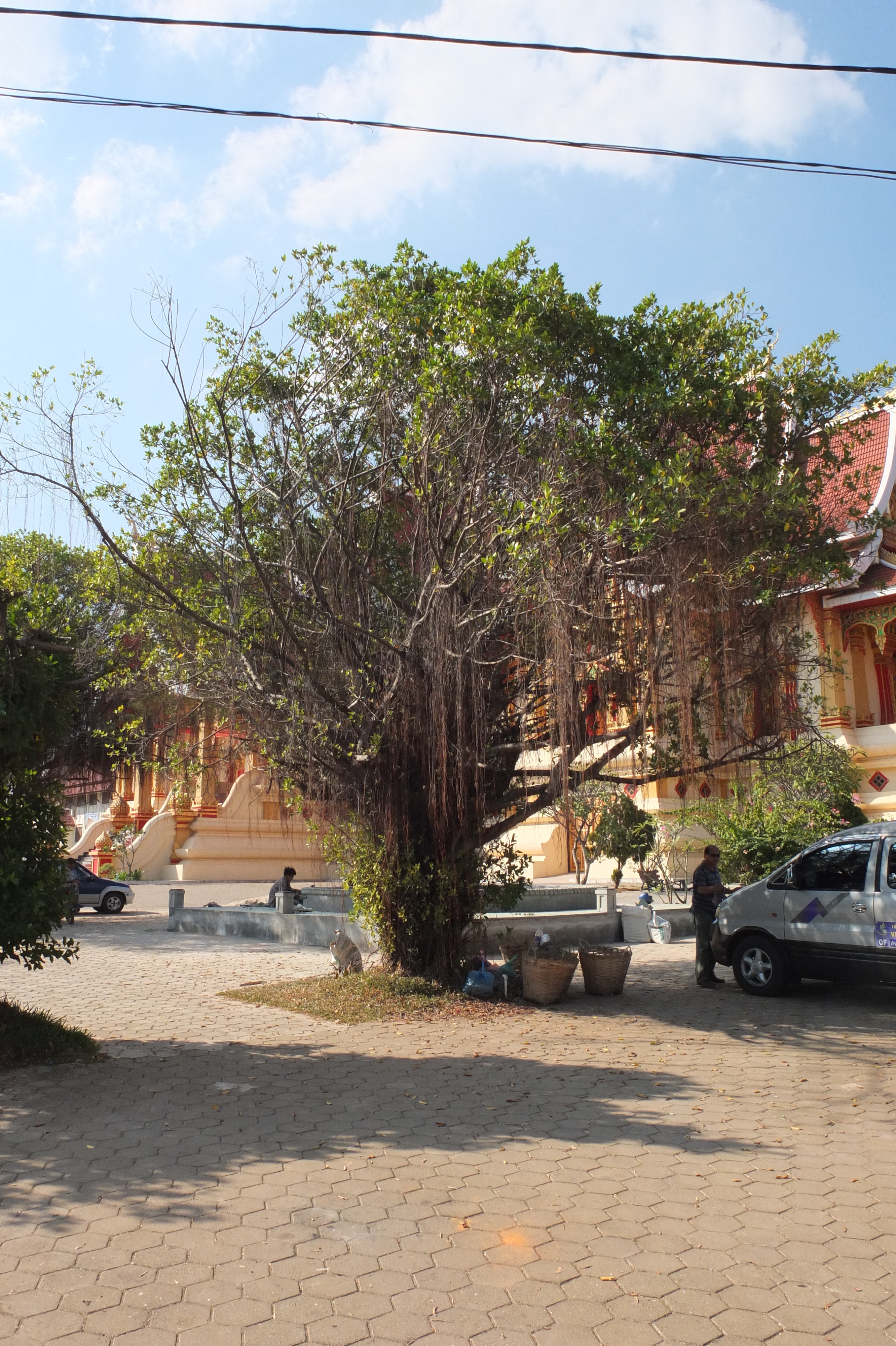 Photo Laos Vientiane 2012-12 271