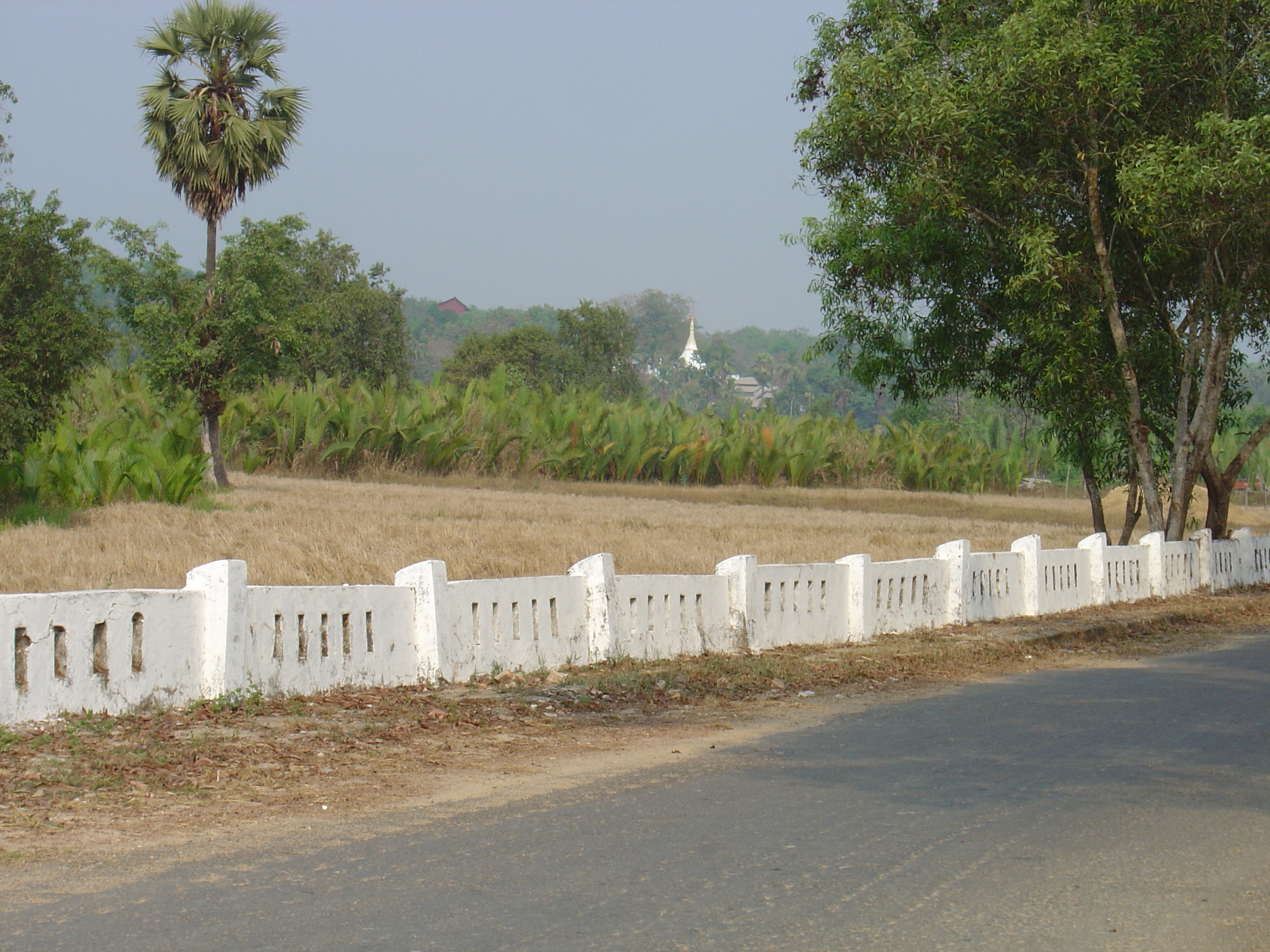 Photo Birmanie (Myanmar) Dawei (TAVOY) 2005-01 160