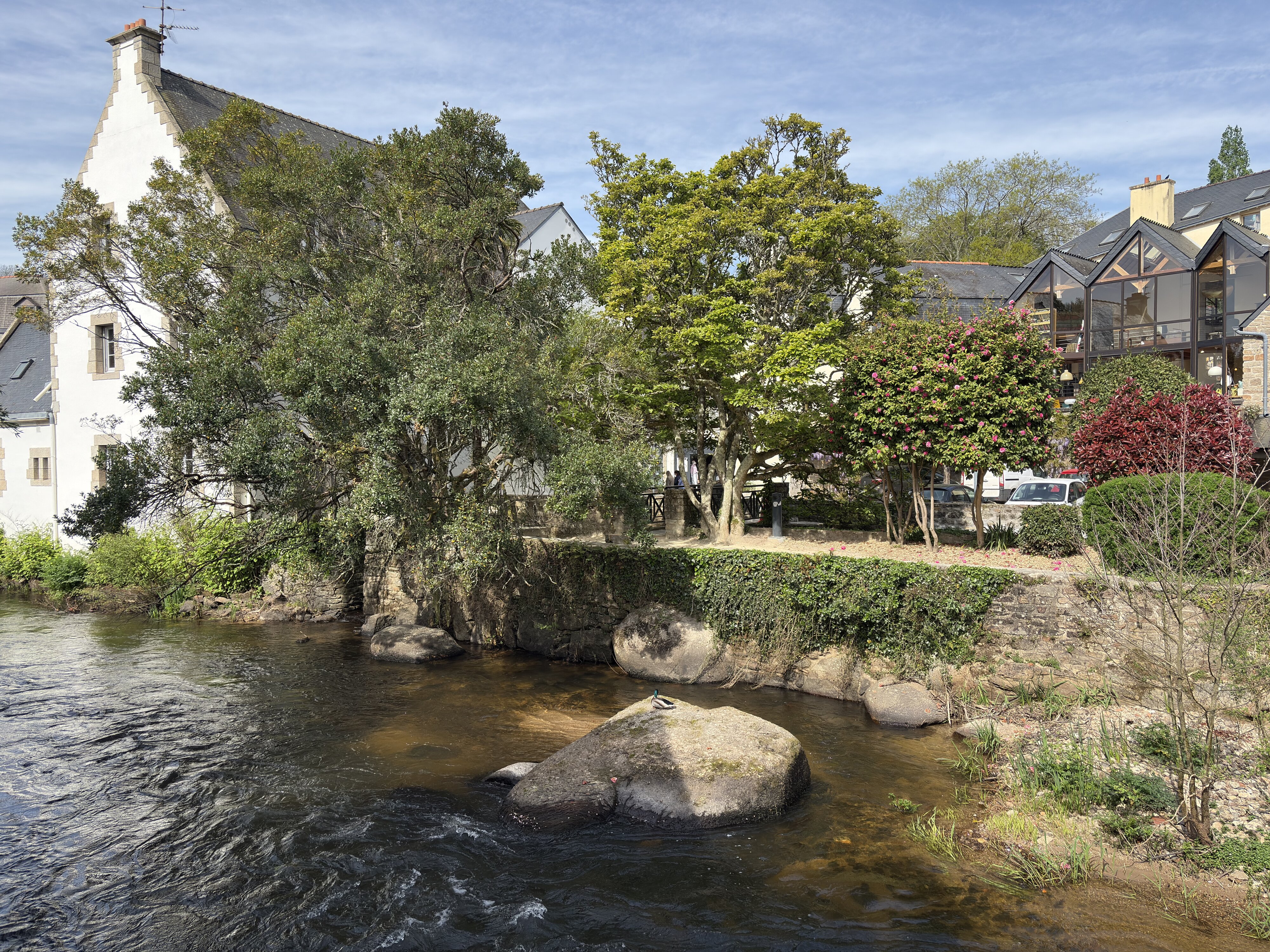 Photo France Pont Aven 2026-04 71