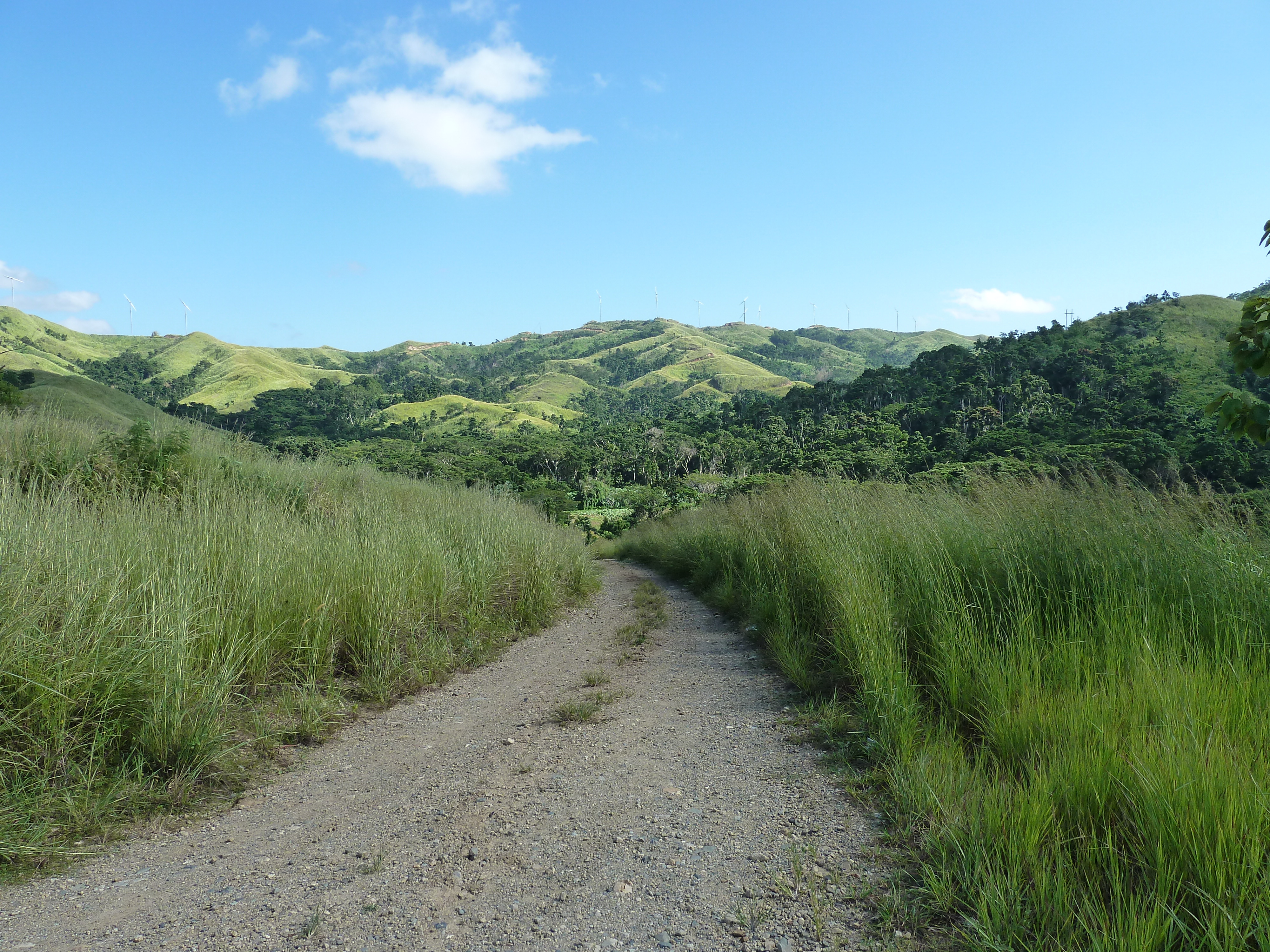 Photo Îles Fidji Rivière Sigatoka 2010-05 106