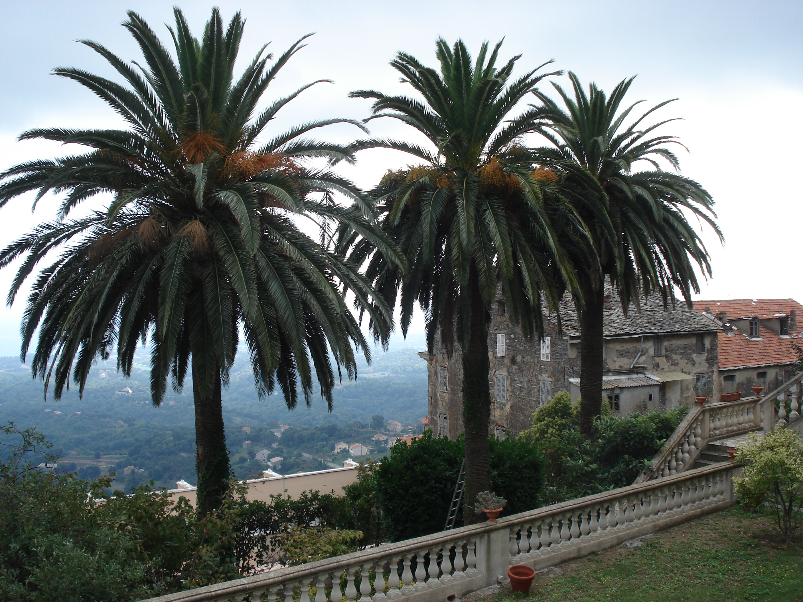 Photo France Corse Cervione 2006-09 43