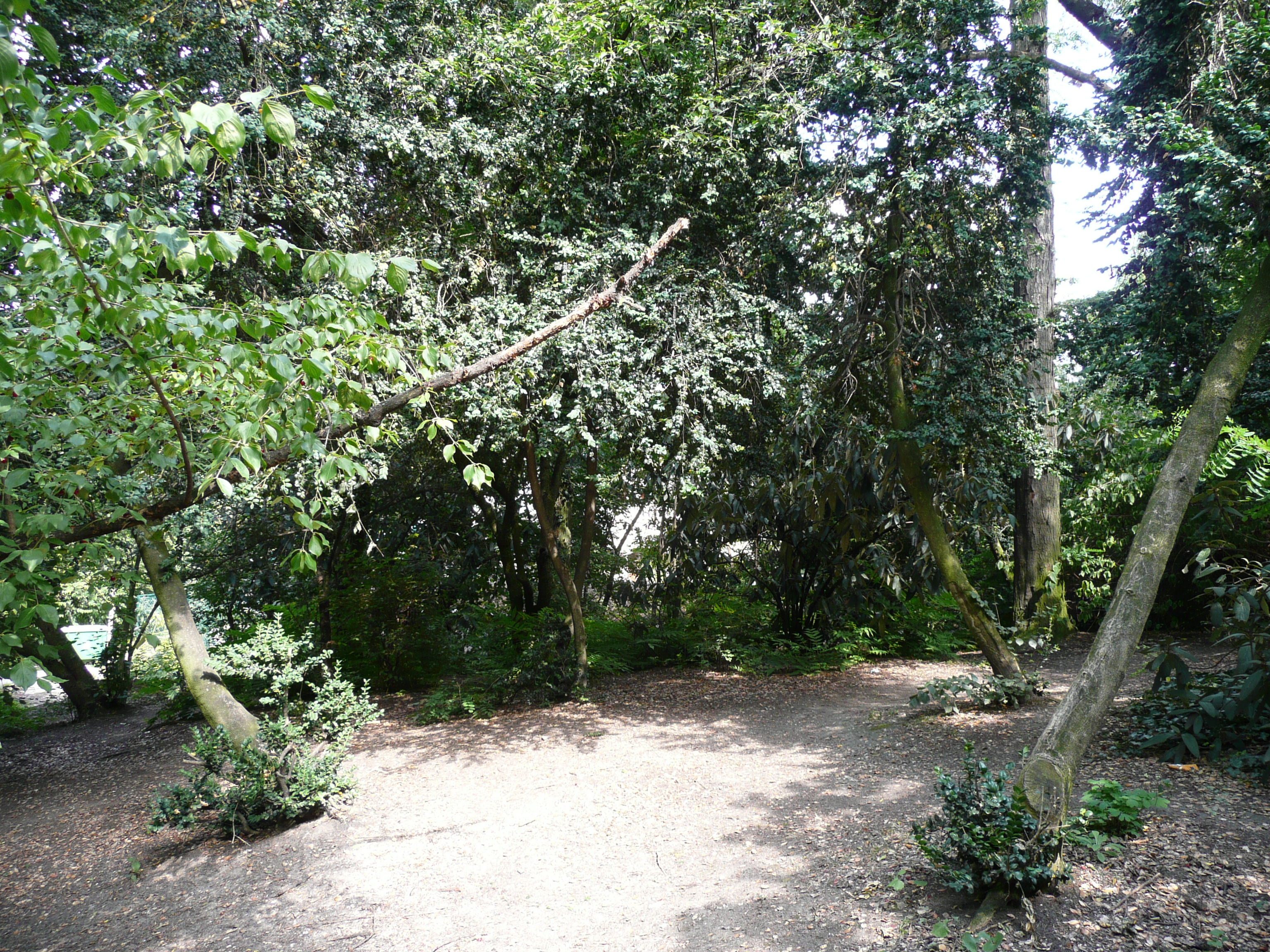 Photo France Paris Parc des Buttes-Chaumont 2007-08 265