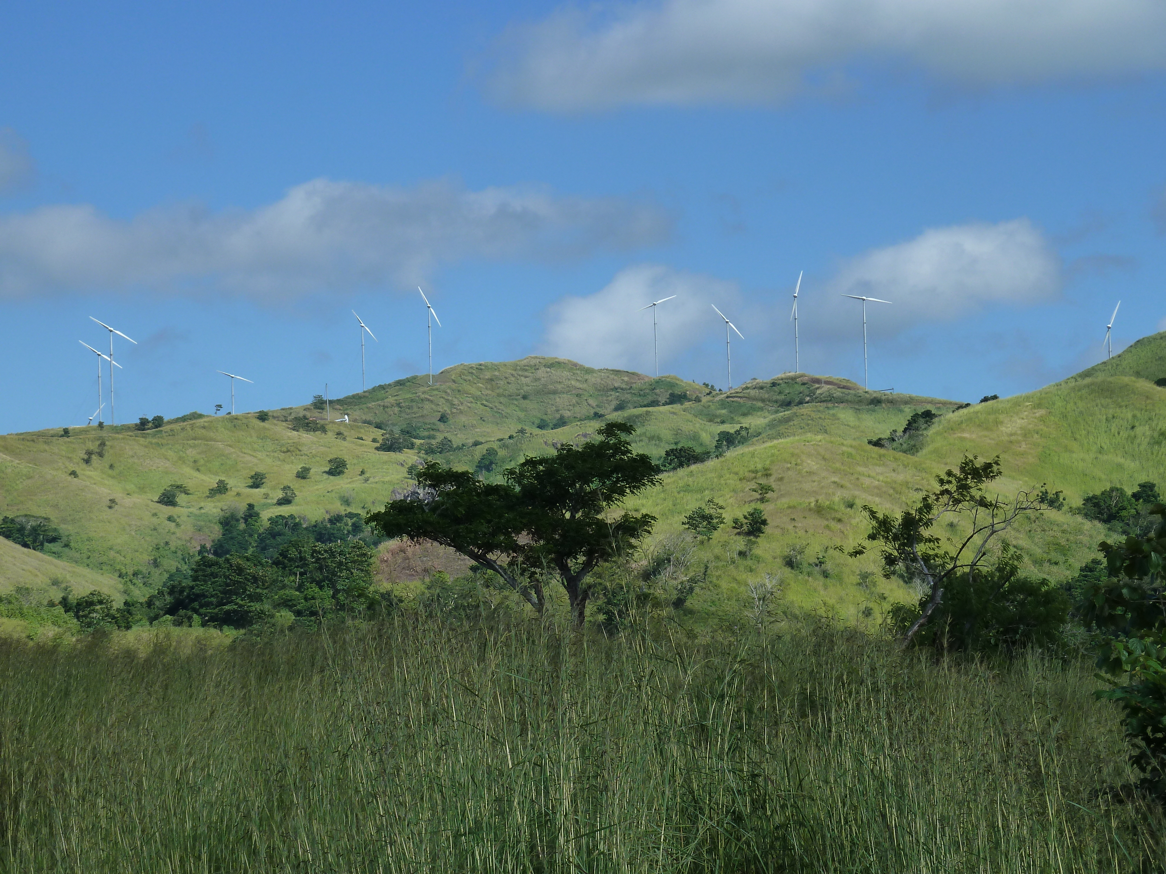 Photo Îles Fidji Rivière Sigatoka 2010-05 20