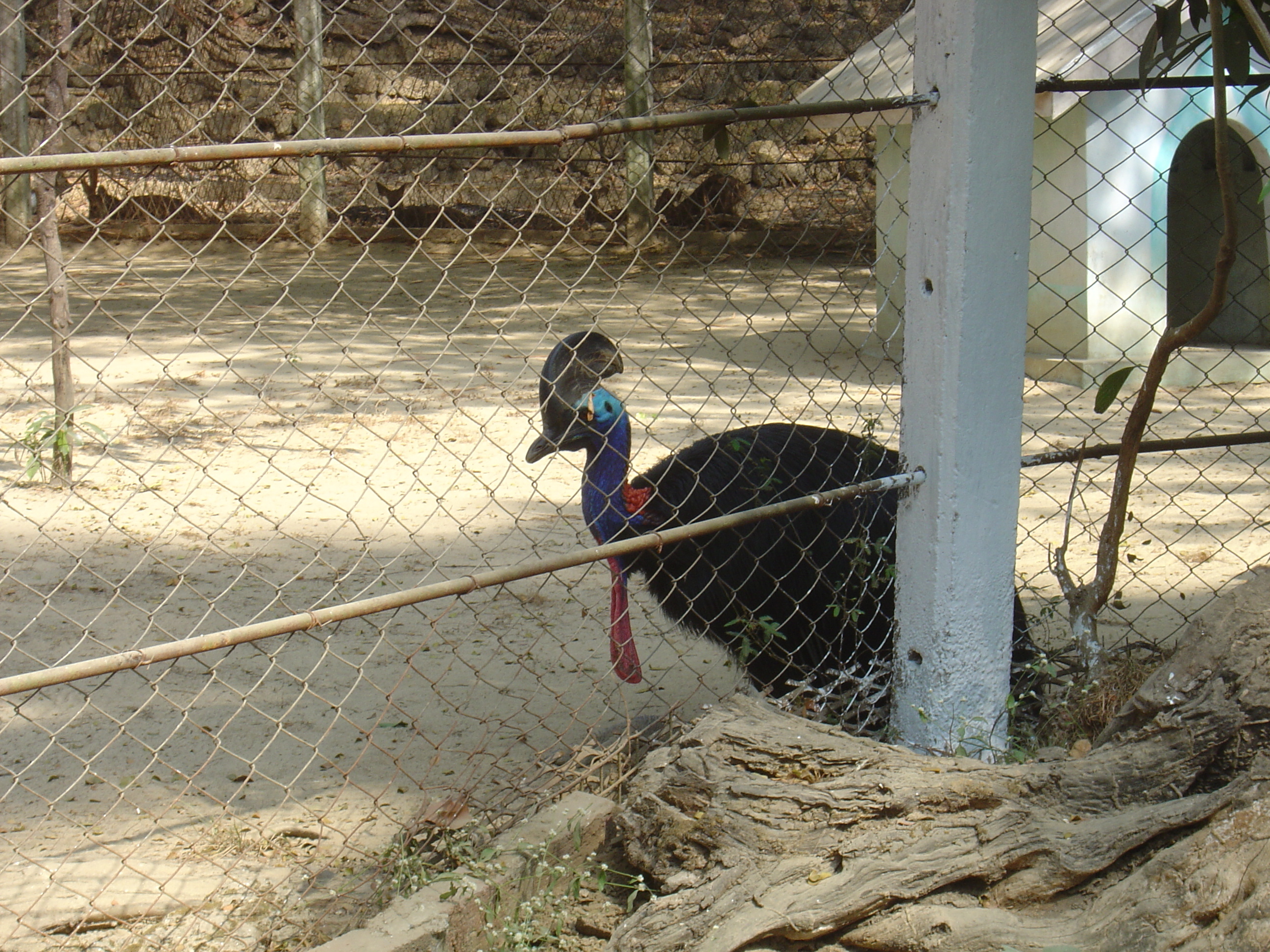 Photo Birmanie (Myanmar) Rangoun 2005-01 106
