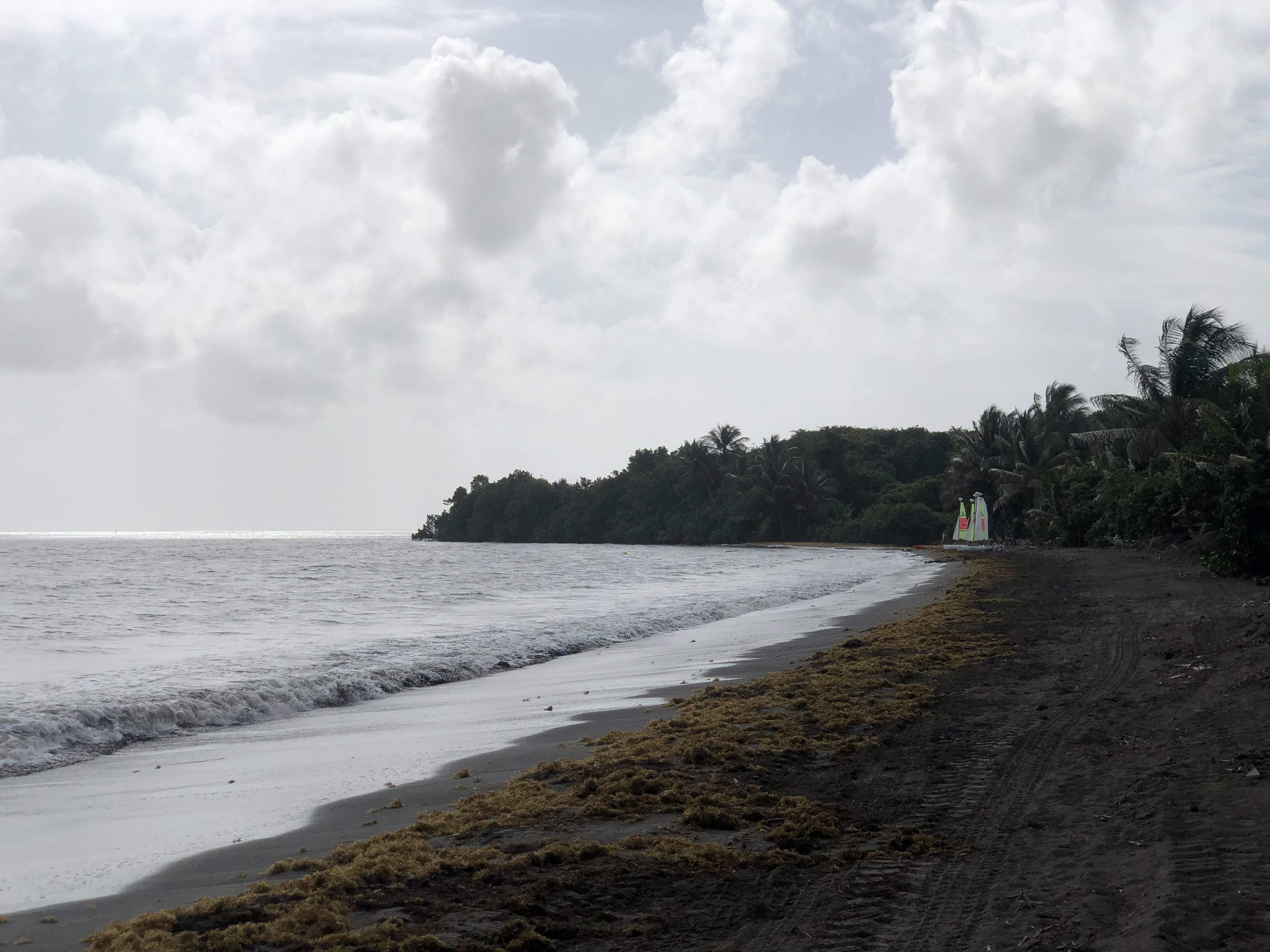 Photo Guadeloupe Plage de Viard 2021-02 5