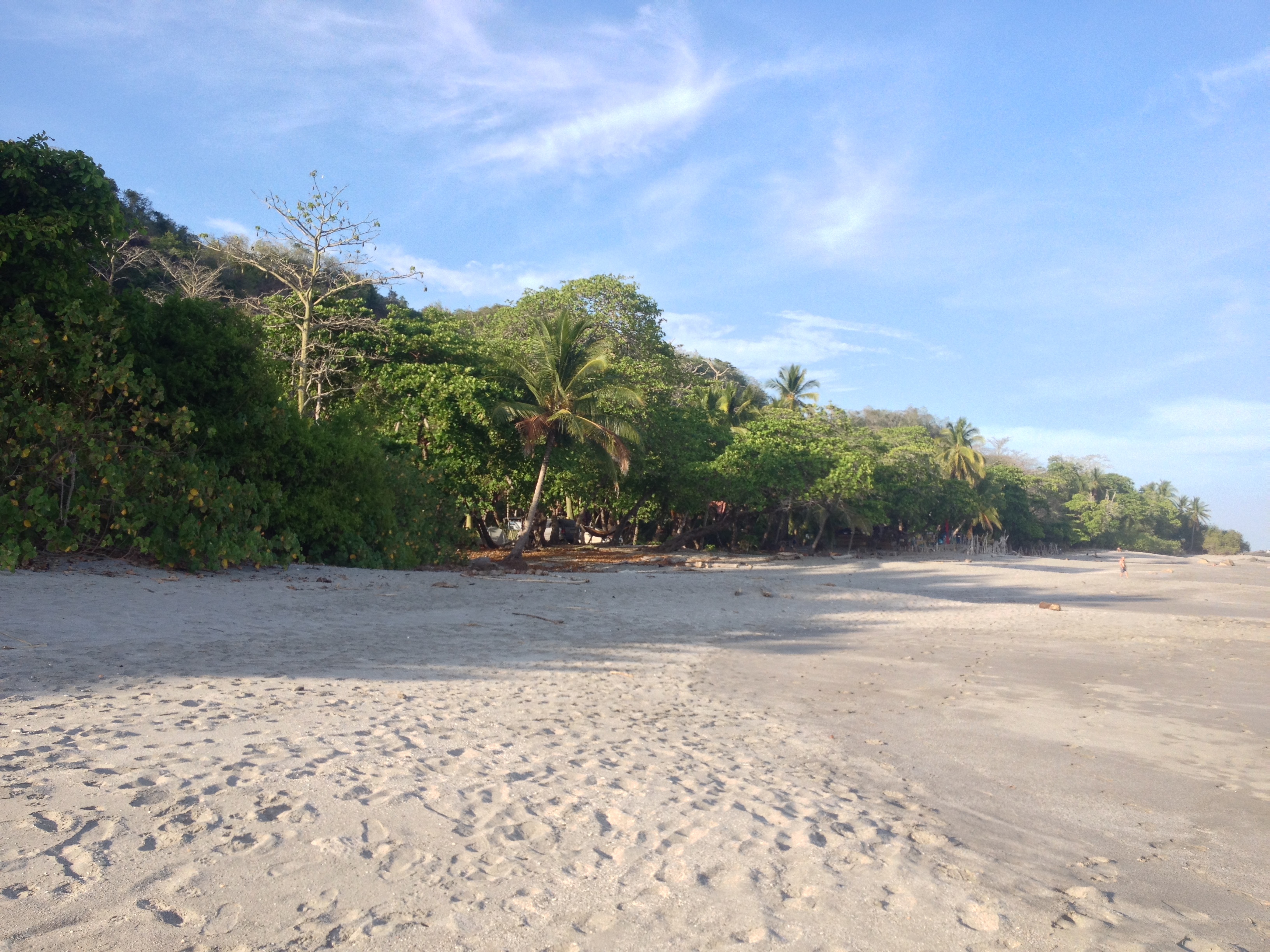 Photo Costa Rica Montezuma 2015-03 385