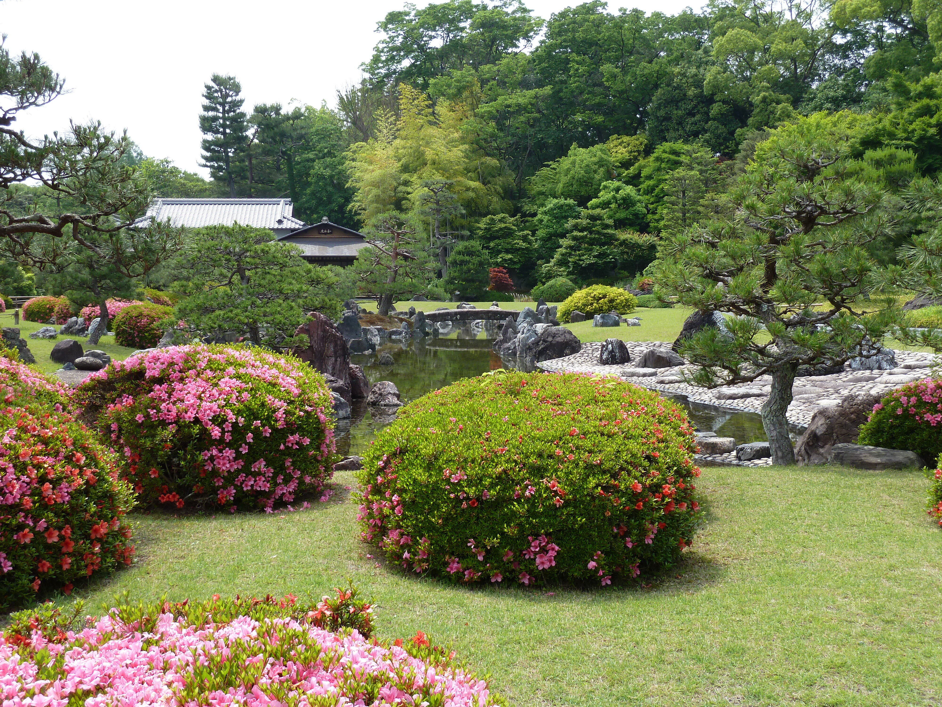 Photo Japon Kyoto Château Nijo 2010-06 124