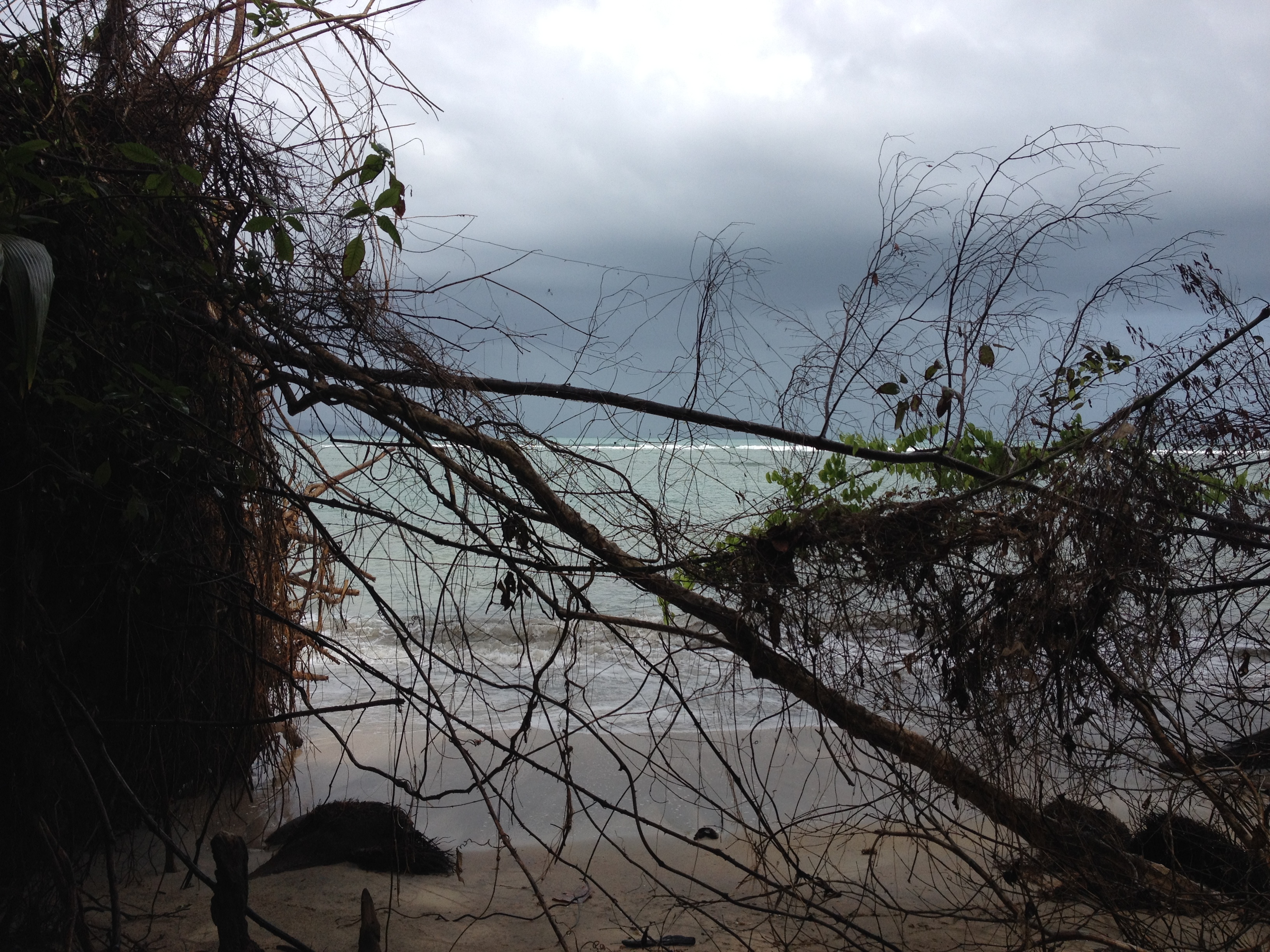 Photo Costa Rica Cahuita 2015-03 44