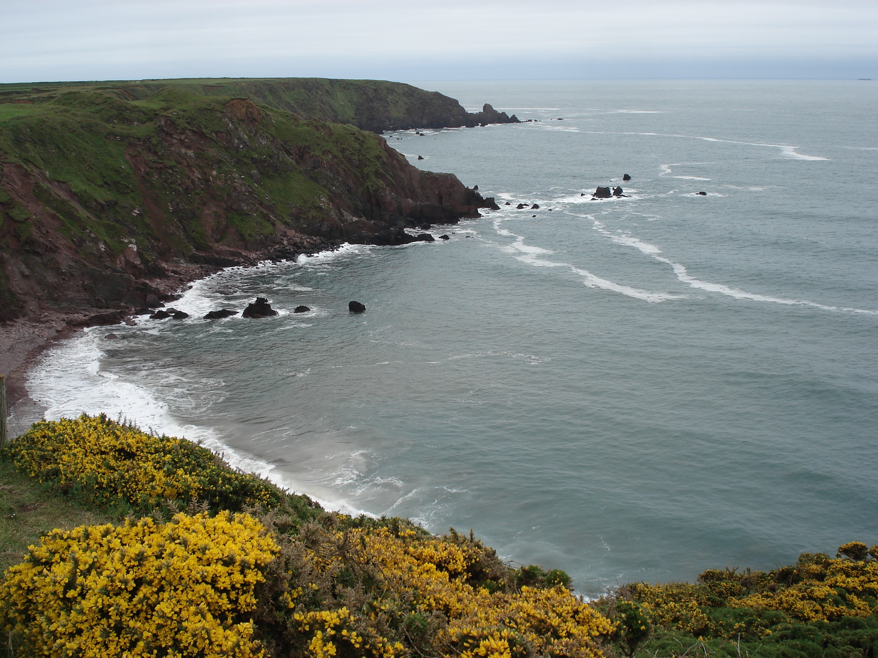 Photo Royaume-Uni Pembrokeshire Saint Ann's Head 2006-05 6