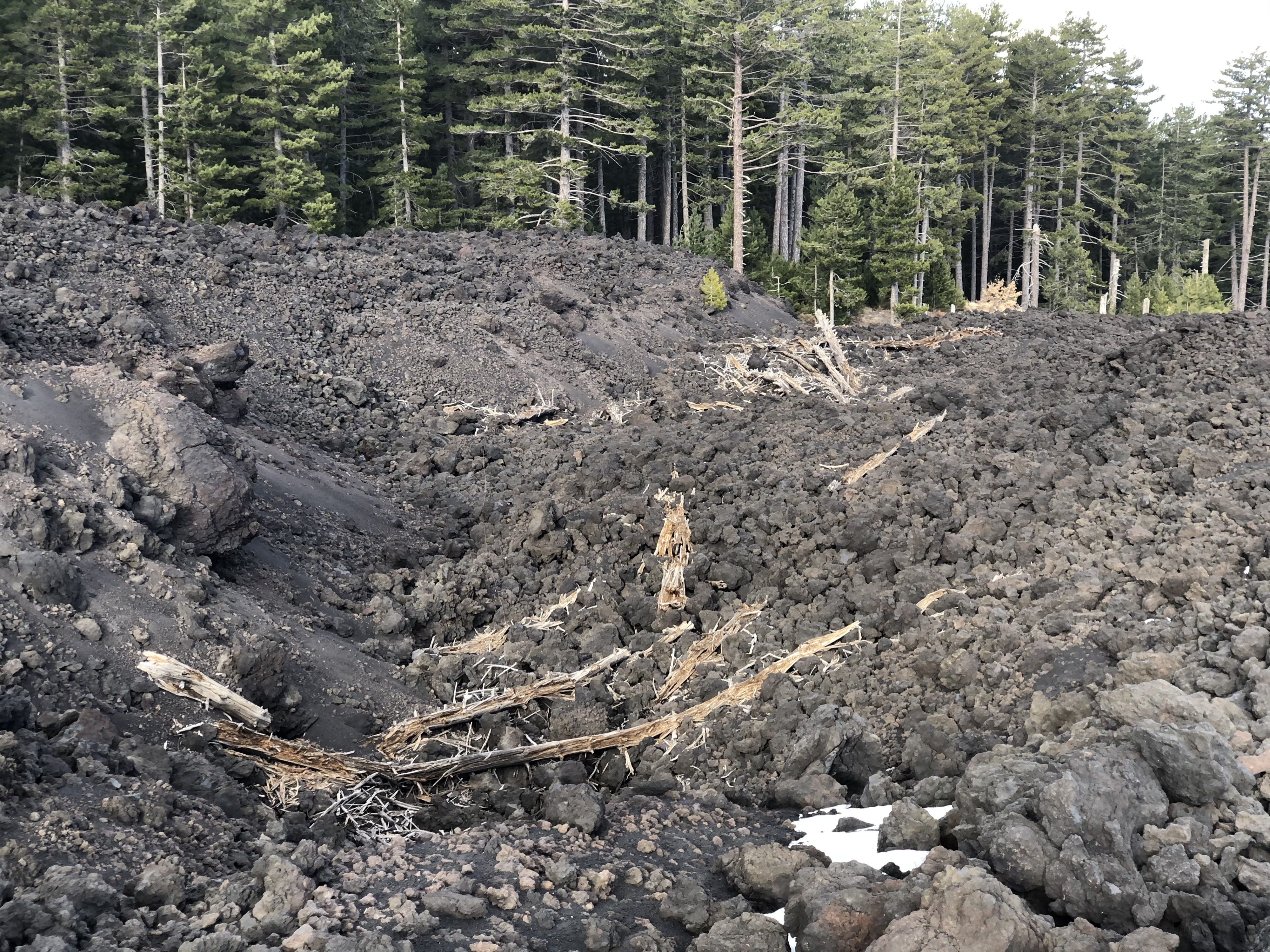 Photo Italie Sicile L'Etna 2020-02 22