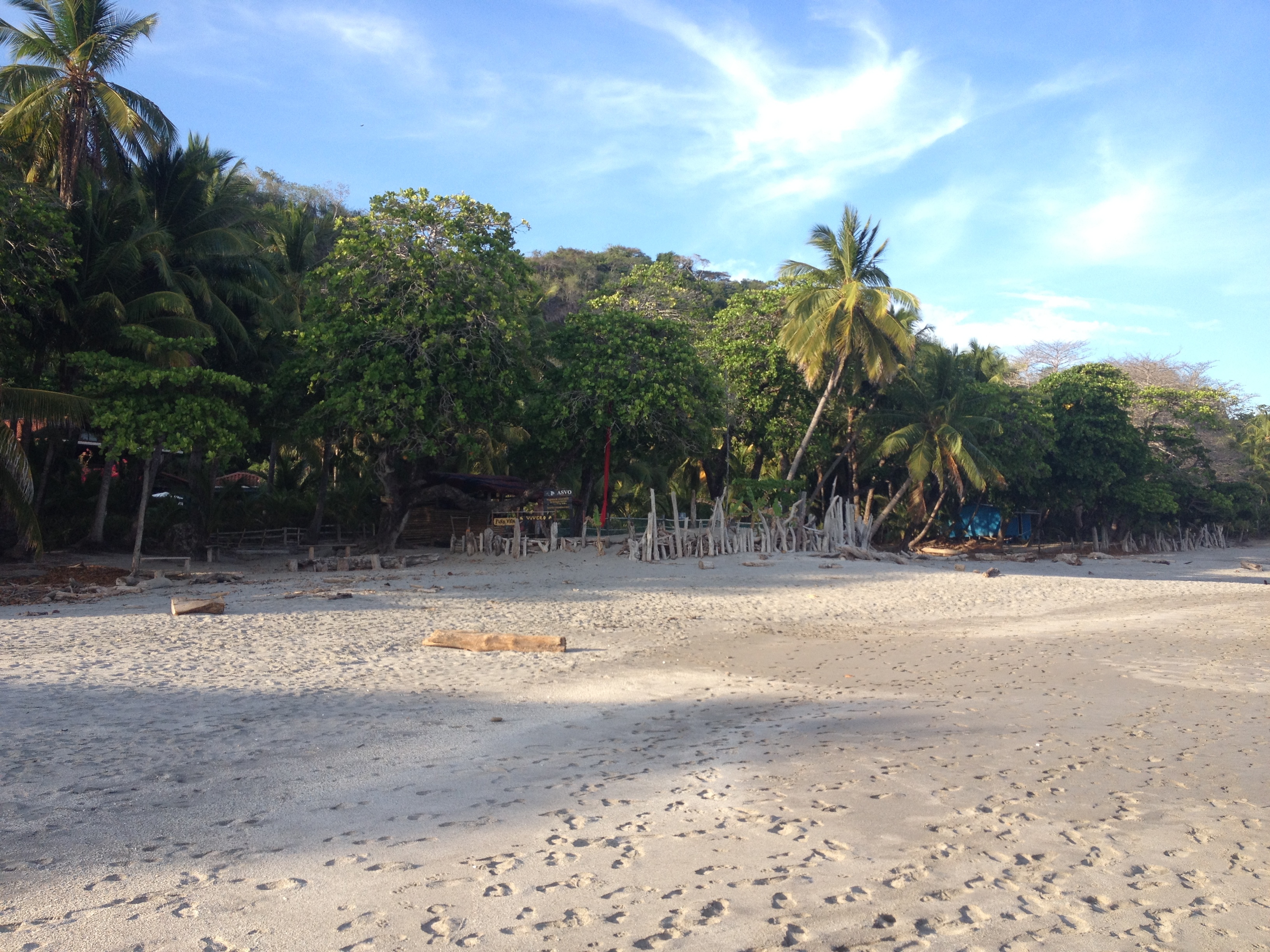 Photo Costa Rica Montezuma 2015-03 431