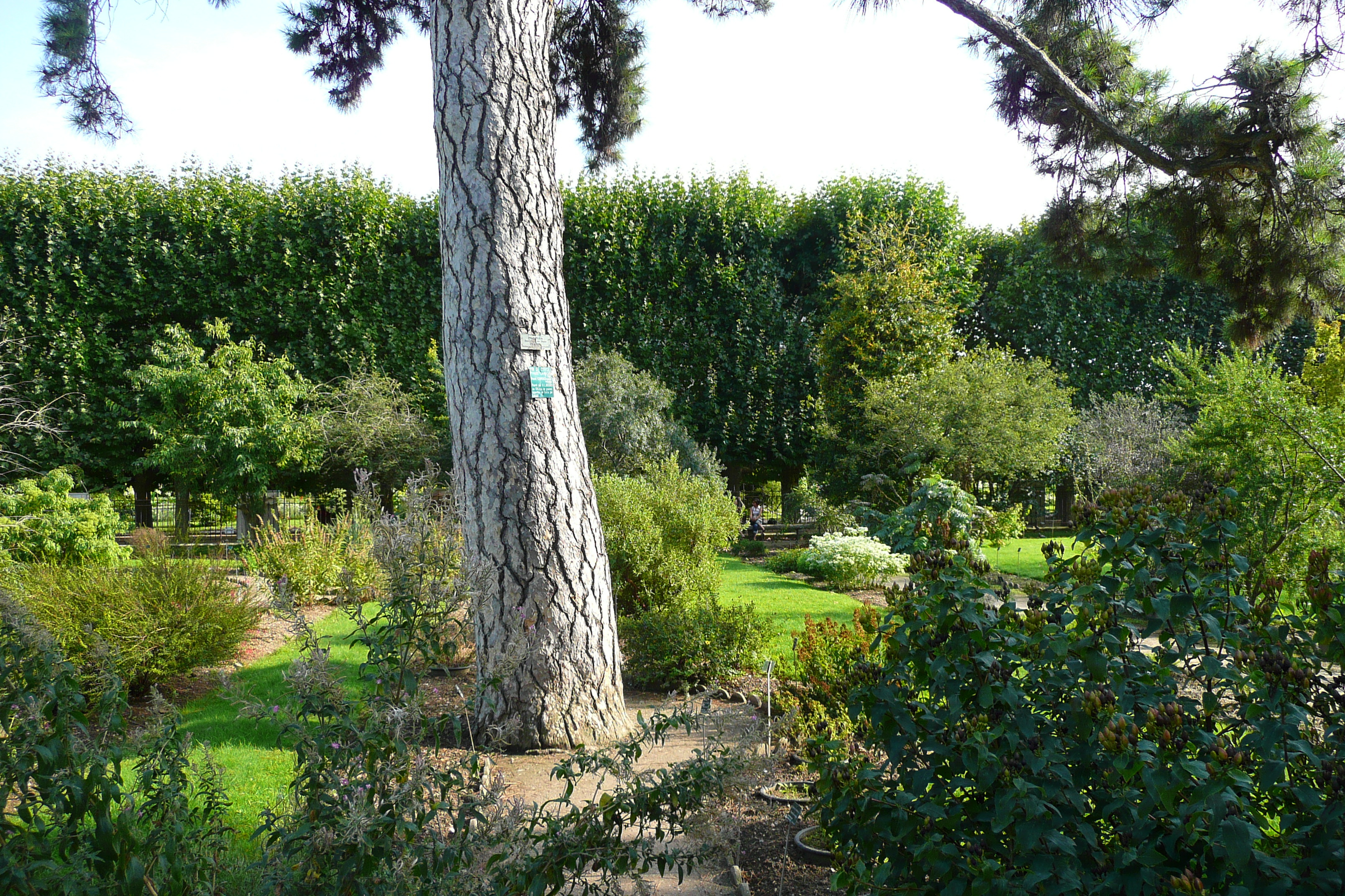 Photo France Paris Jardin des Plantes 2007-08 108