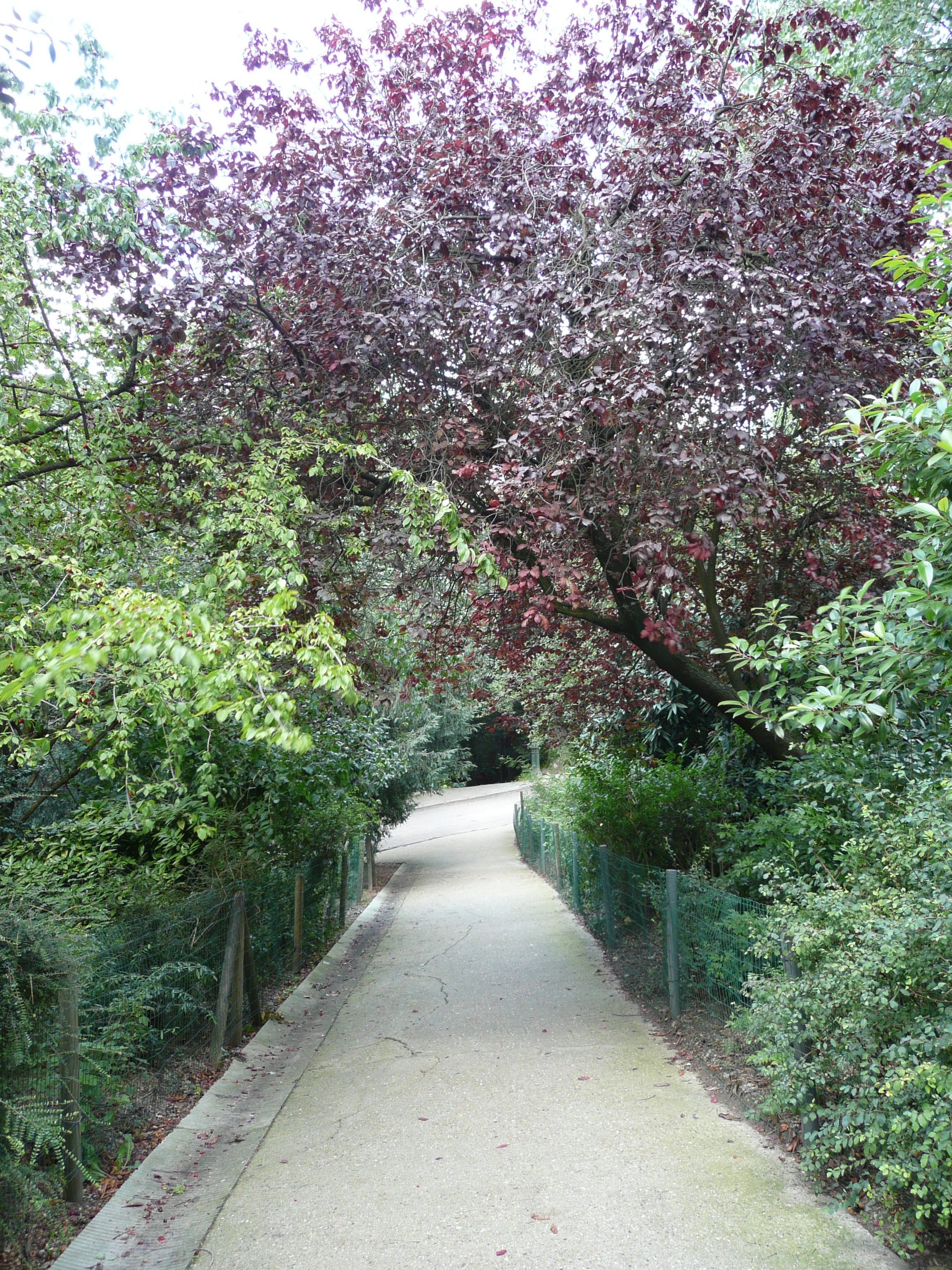Photo France Paris Parc des Buttes-Chaumont 2007-08 175