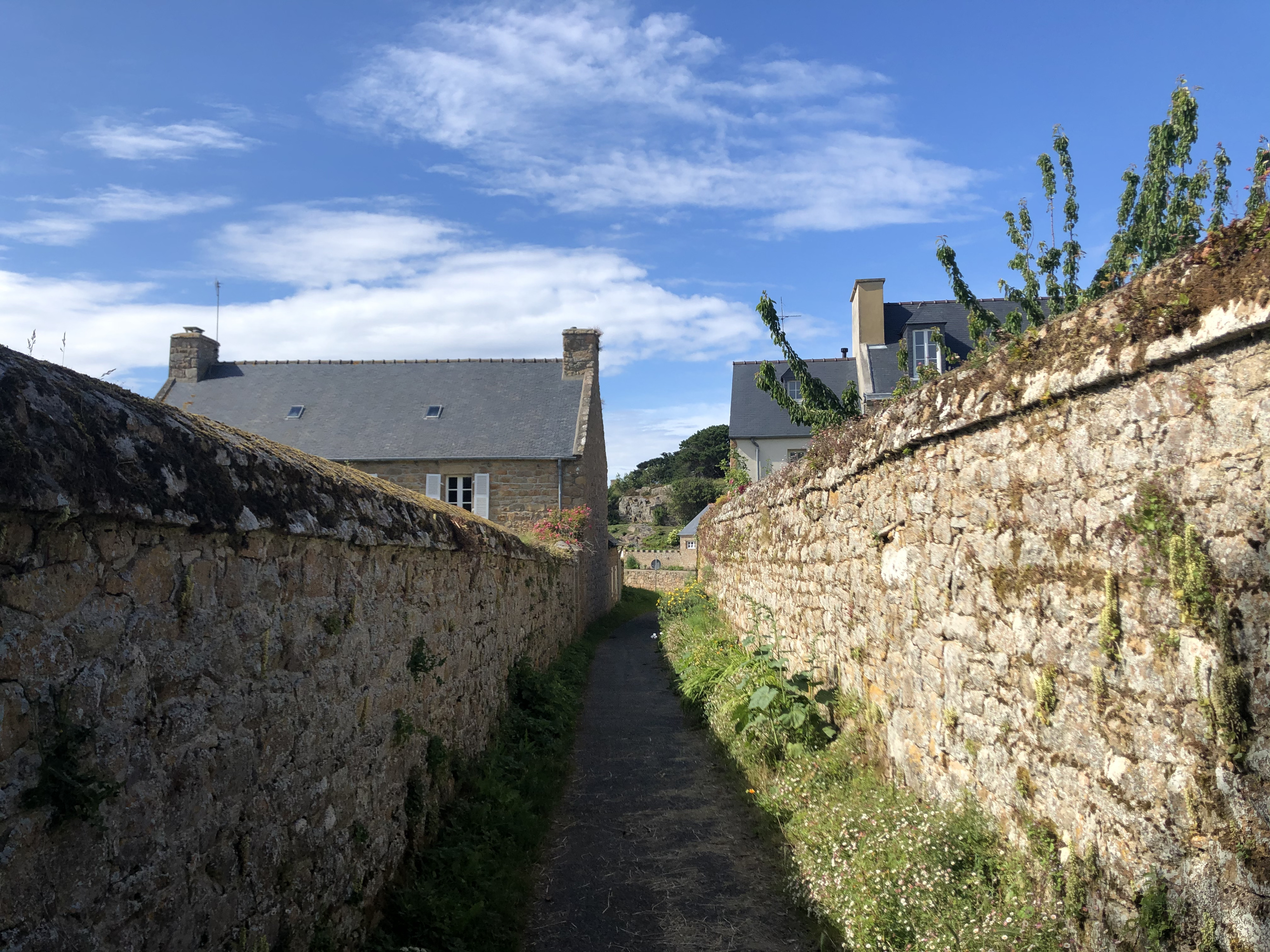 Photo France Île de Bréhat 2020-06 135