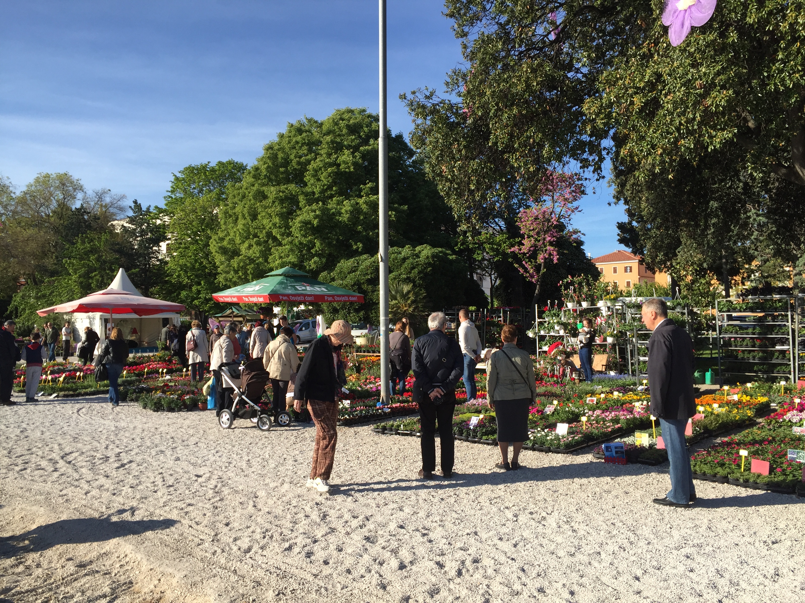Photo Croatie Zadar 2016-04 8
