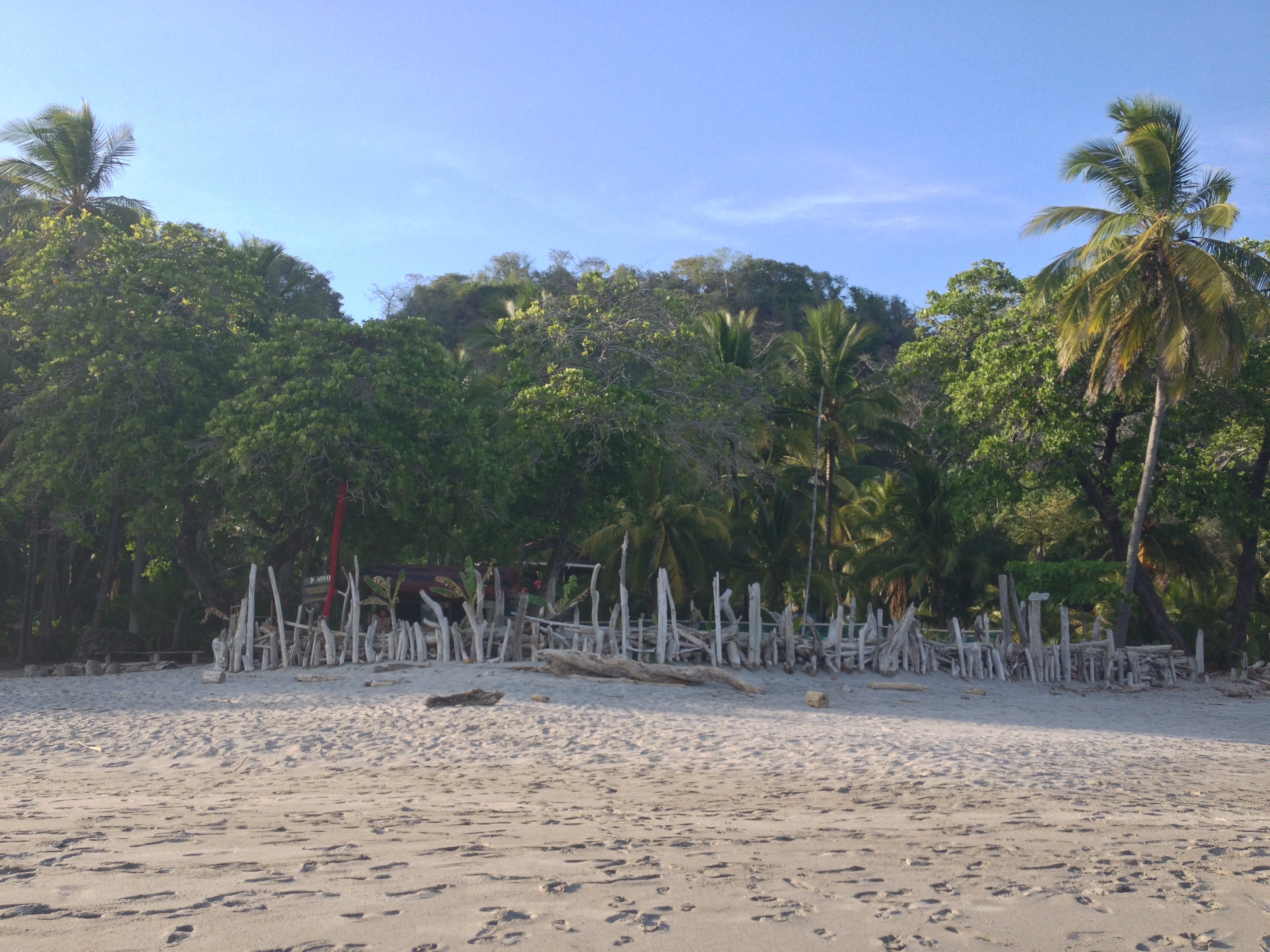 Photo Costa Rica Montezuma 2015-03 603